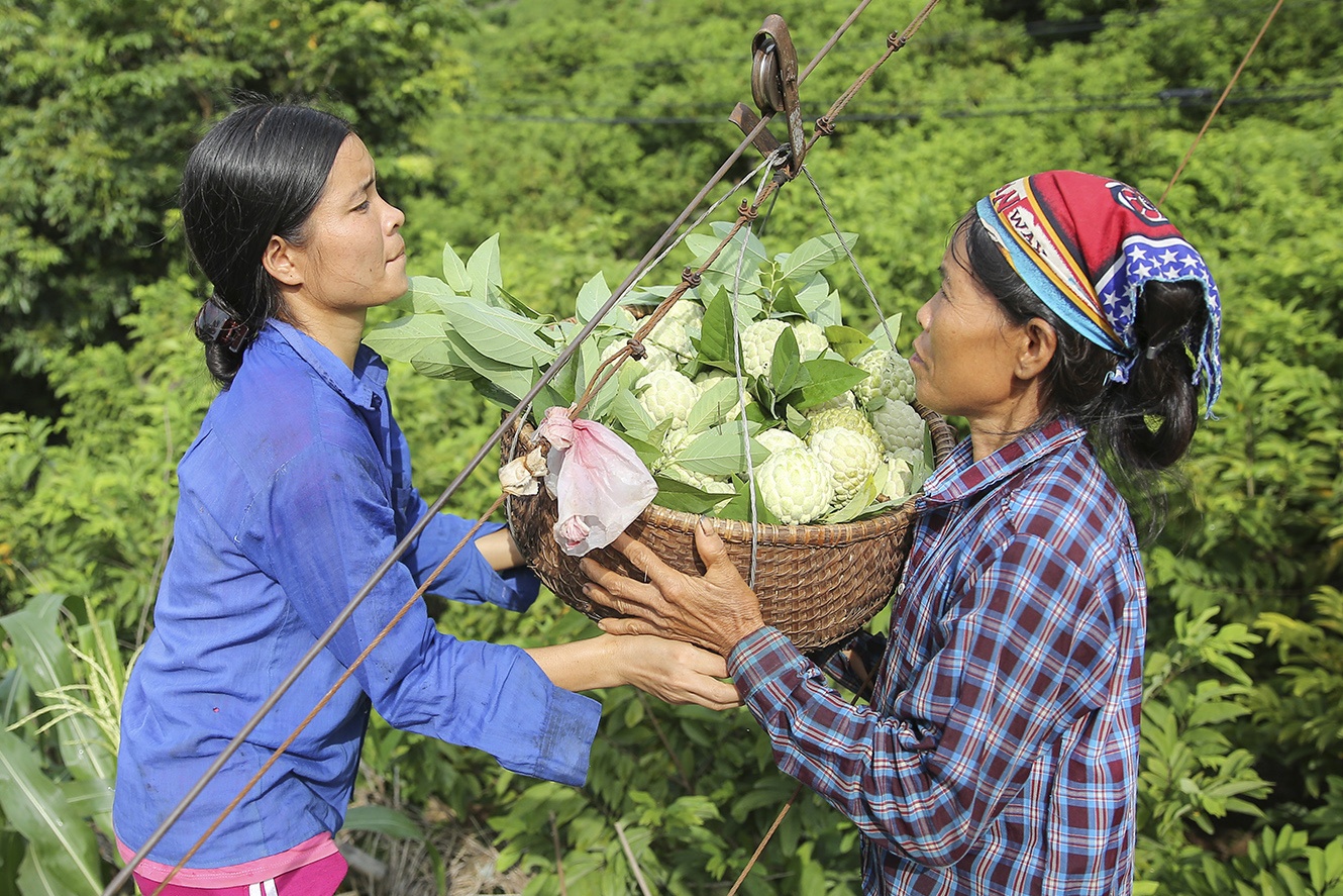 Kiem chuc trieu dong nho nghe dong goi na hinh anh