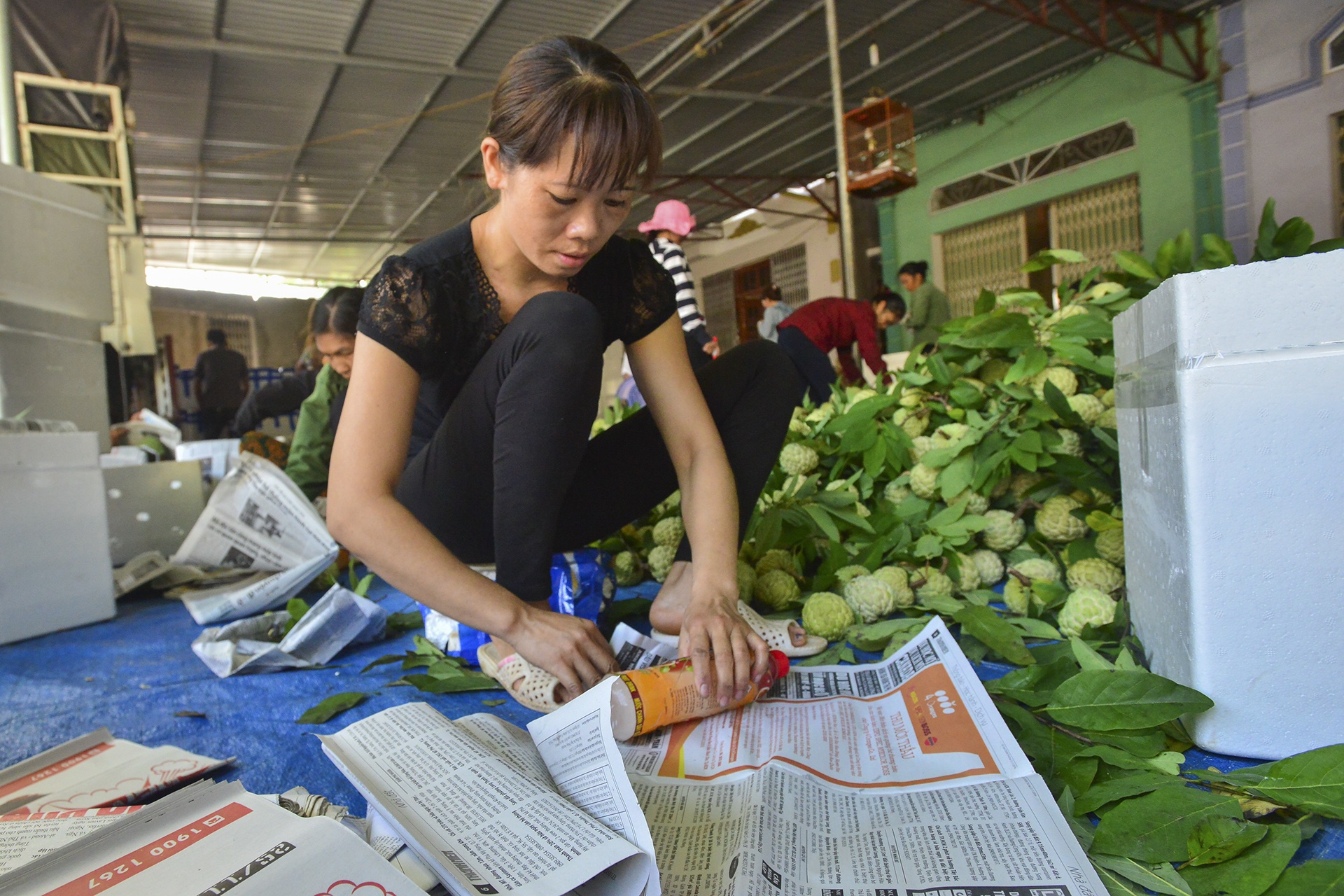 mua na Chi Lang Lang Son anh 5