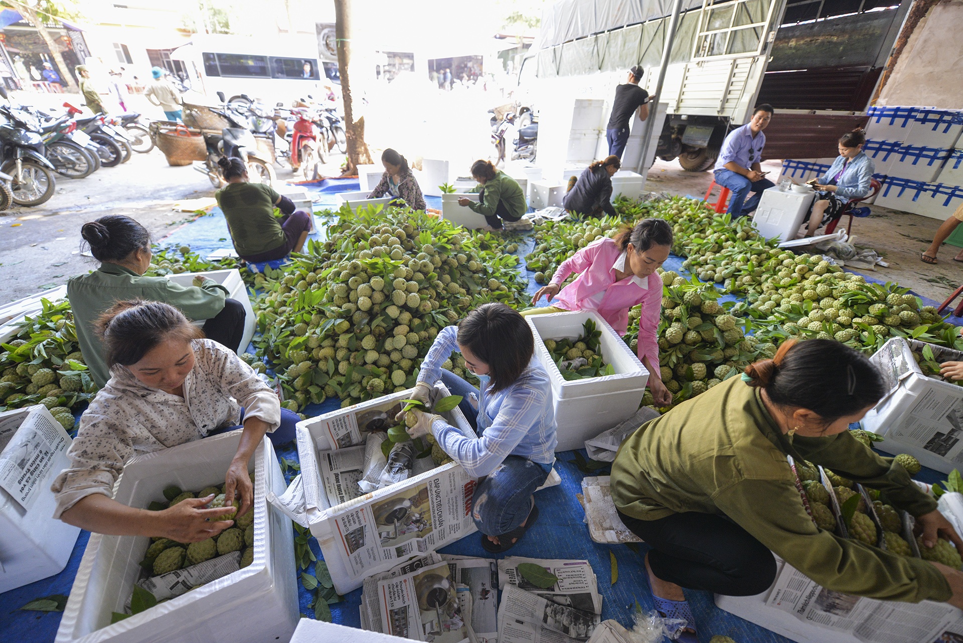 mua na Chi Lang Lang Son anh 6