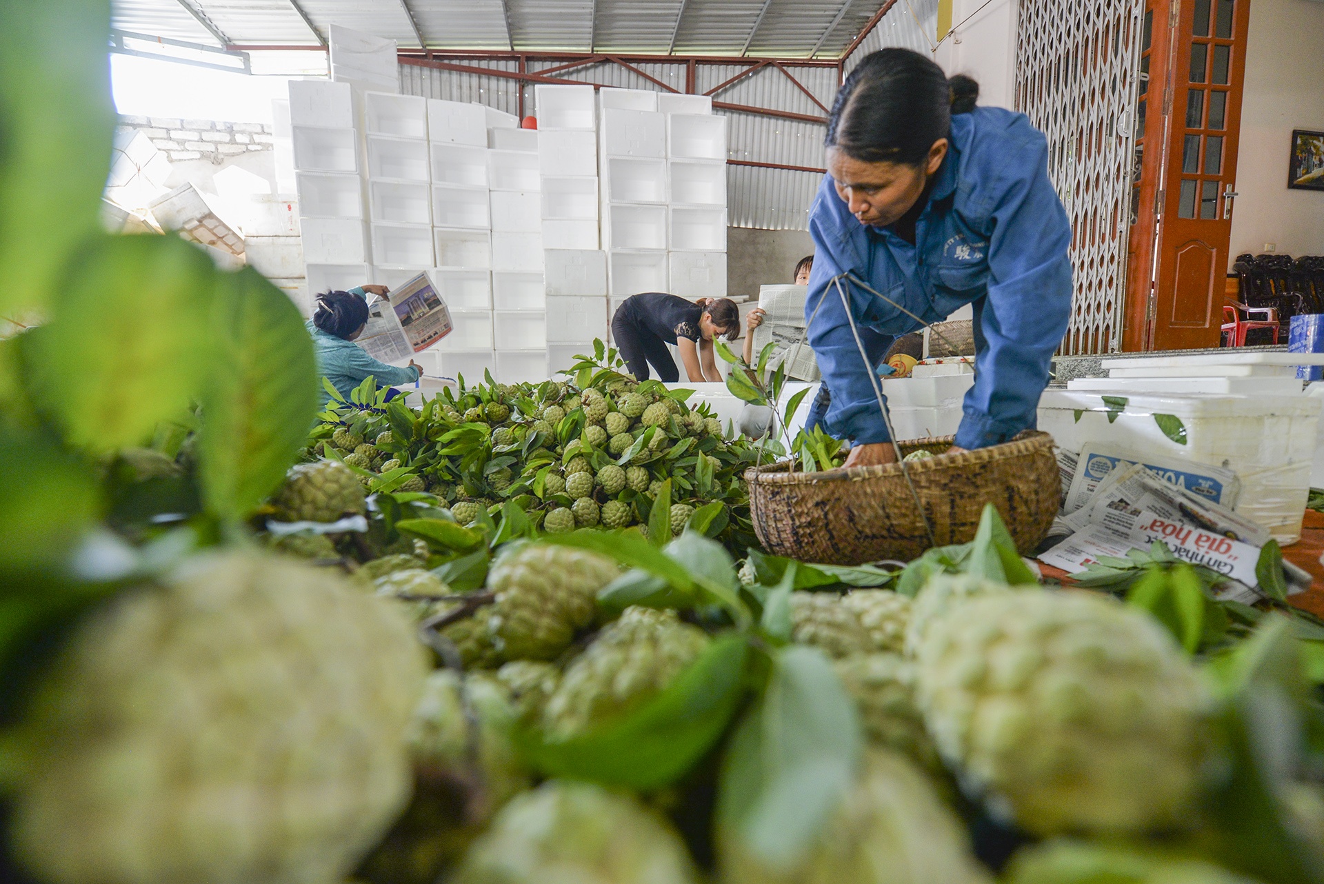 mua na Chi Lang Lang Son anh 7