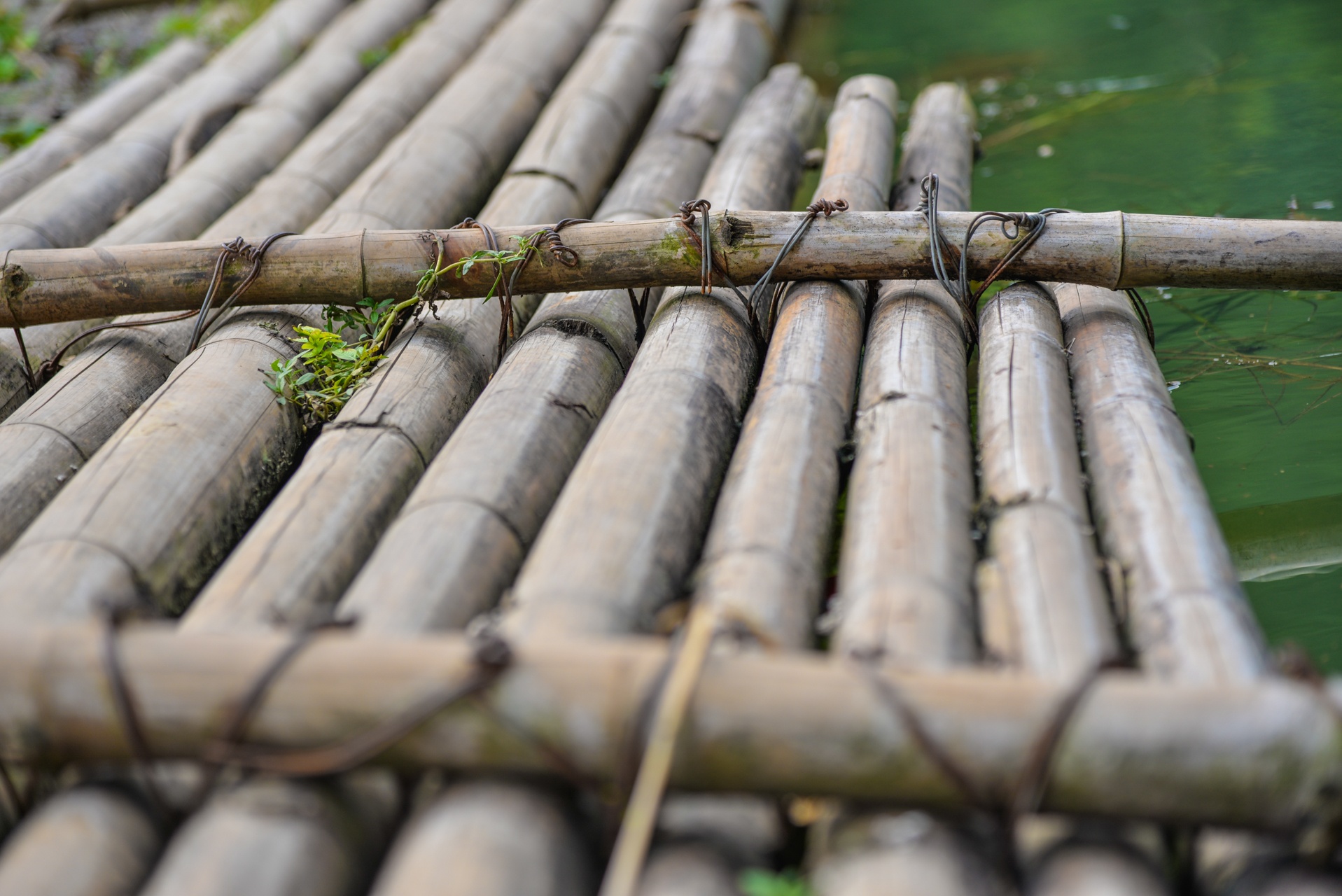 cau tre tam o Lang Son anh 3