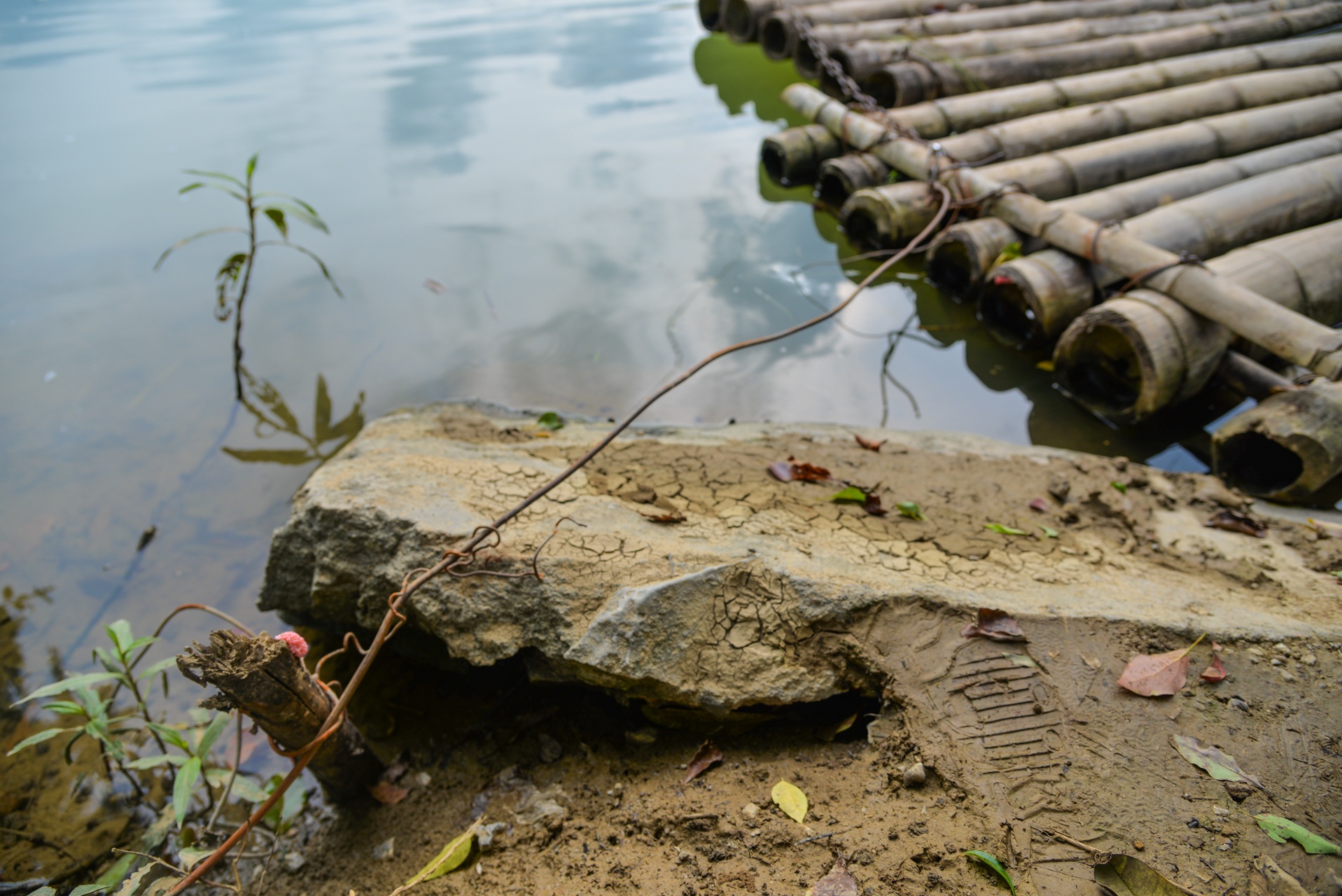 cau tre tam o Lang Son anh 4