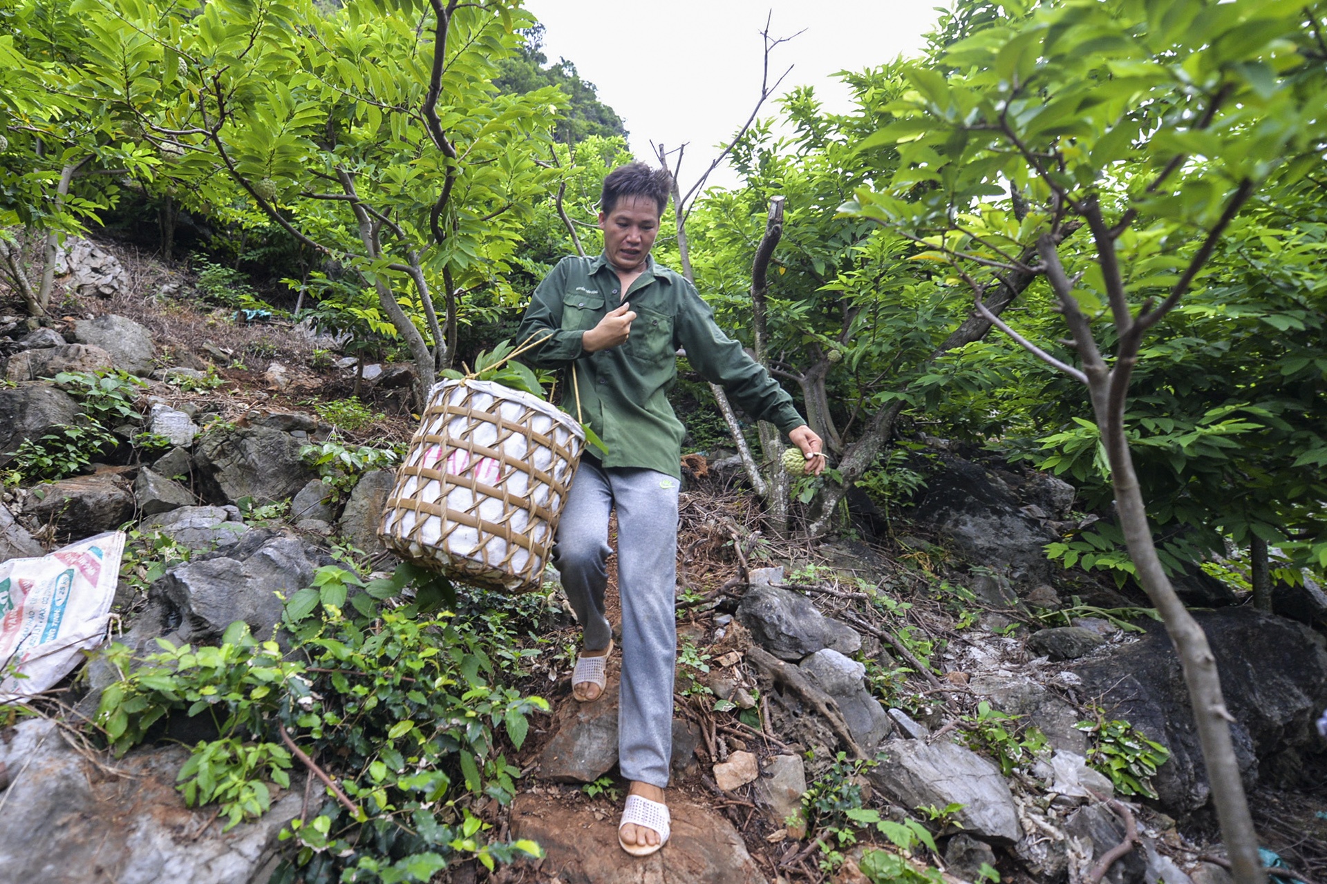 nghe trong na o Lang Son anh 10