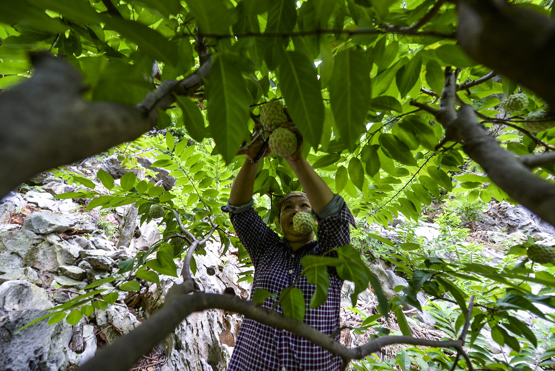 nghe trong na o Lang Son anh 11
