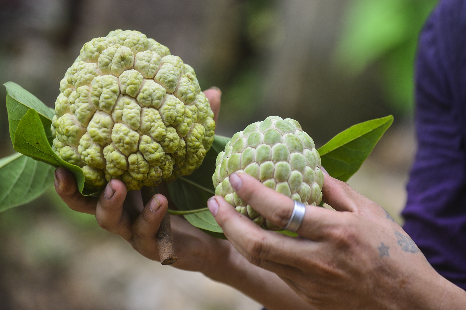 nghe trong na o Lang Son anh 12