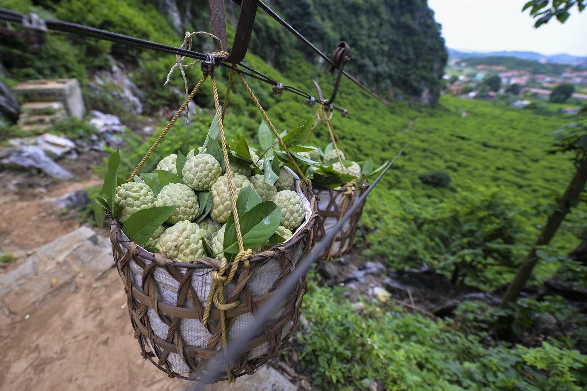nghe trong na o Lang Son anh 5