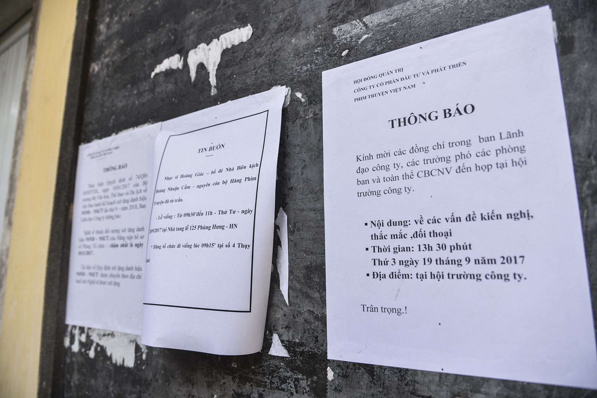 Can canh ben trong Hang phim truyen Viet Nam anh 11