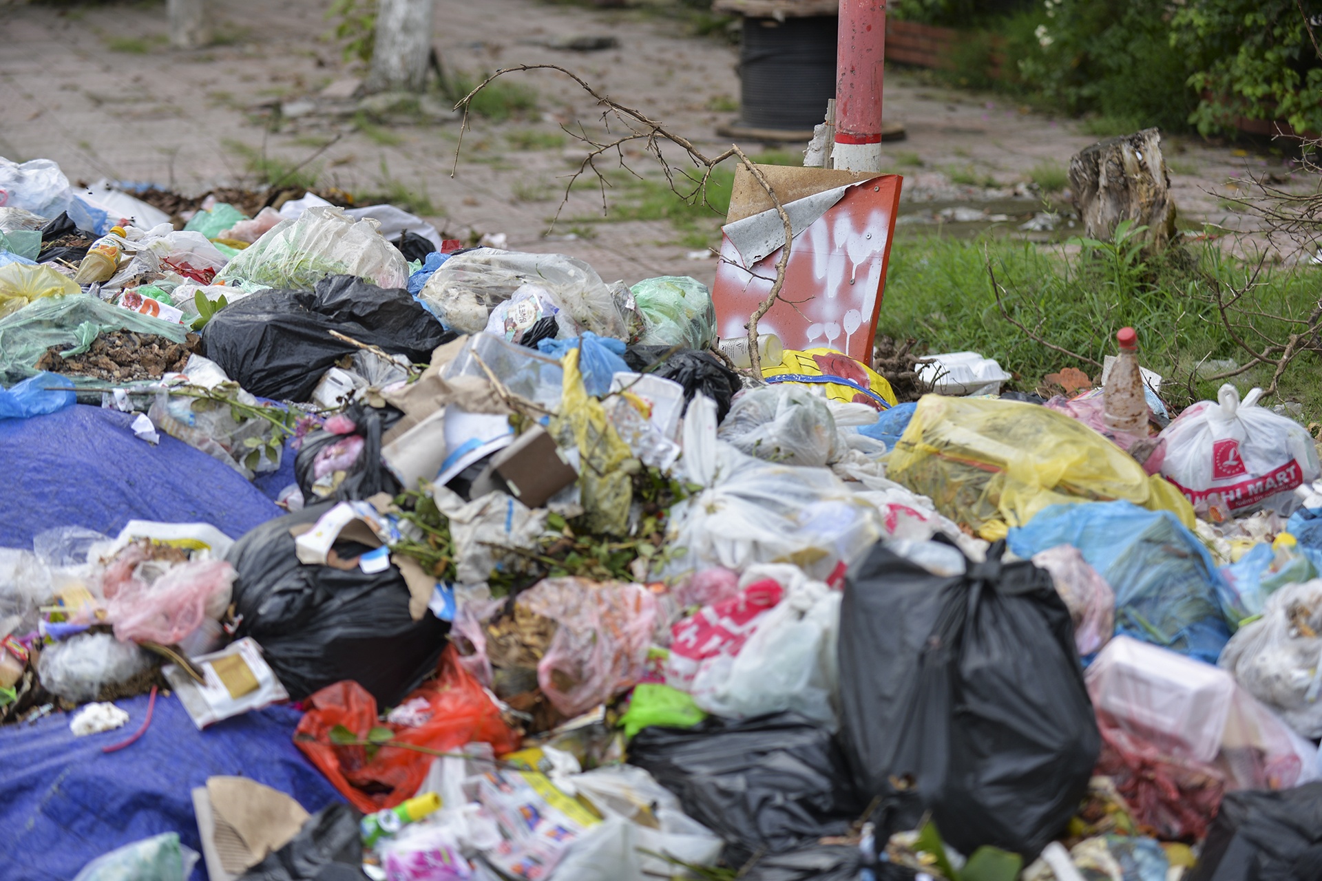 Rac bua vay thi xa Son Tay anh 13