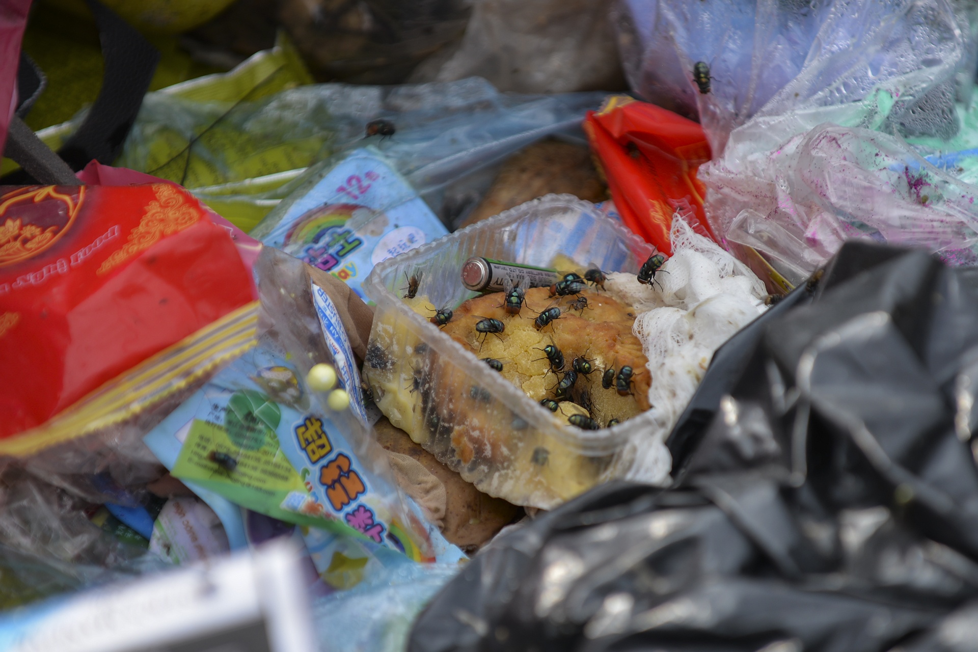 Rac bua vay thi xa Son Tay anh 15