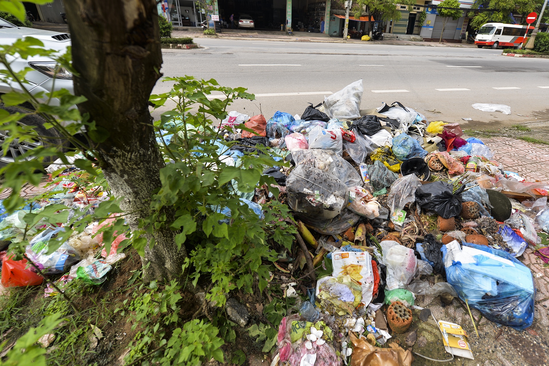 Rac bua vay thi xa Son Tay anh 2