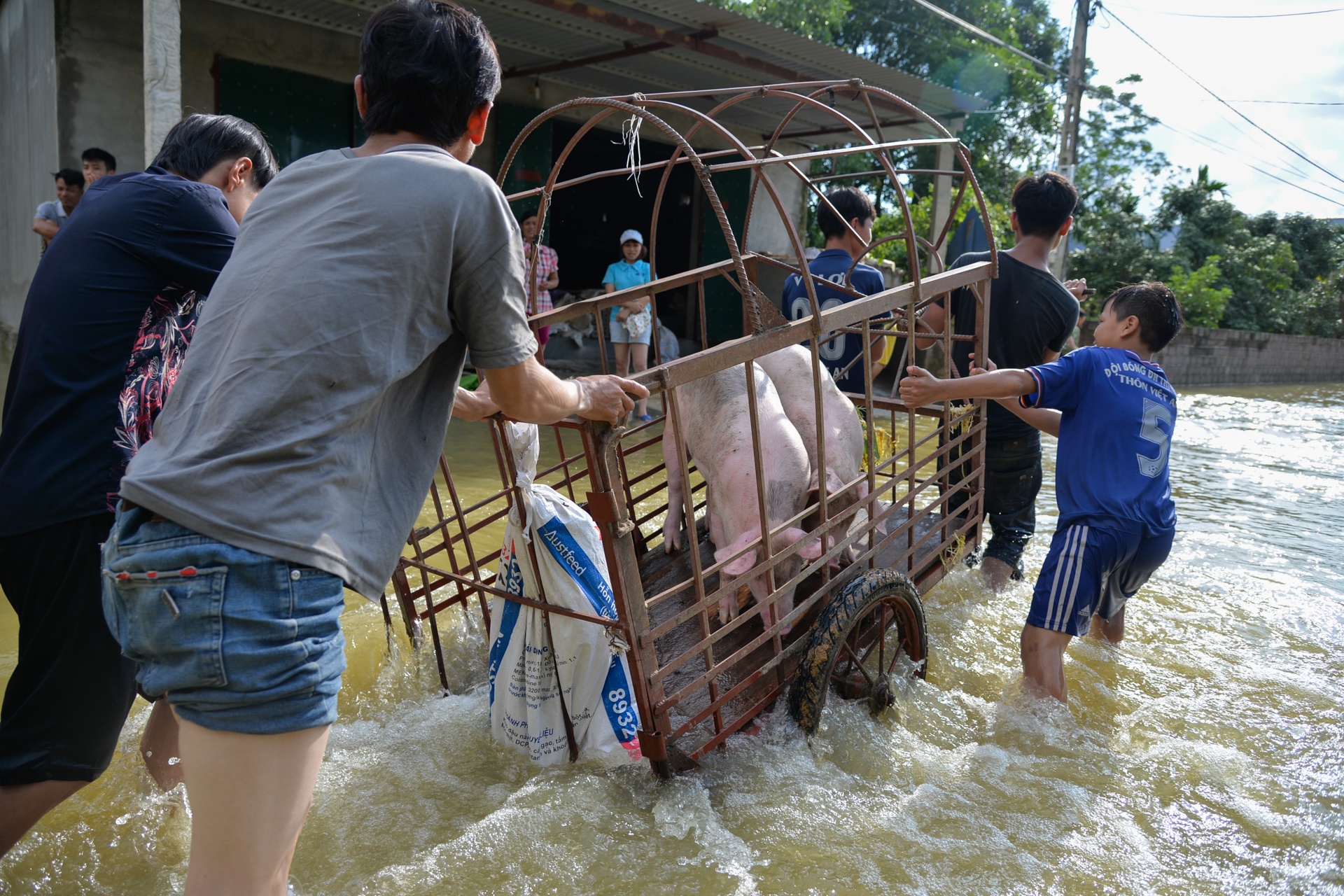 cuoc song nguoi dan dao lon do lu anh 2