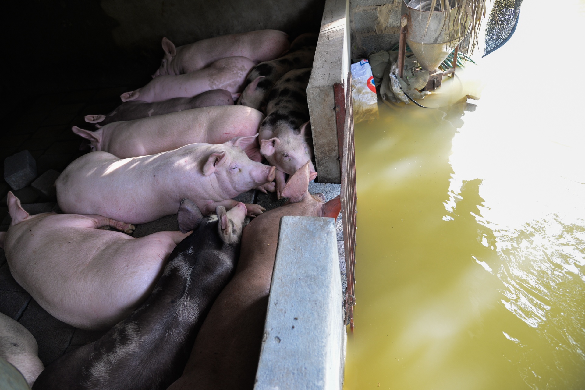 Nguoi dan mat mua vi lu lut hinh anh