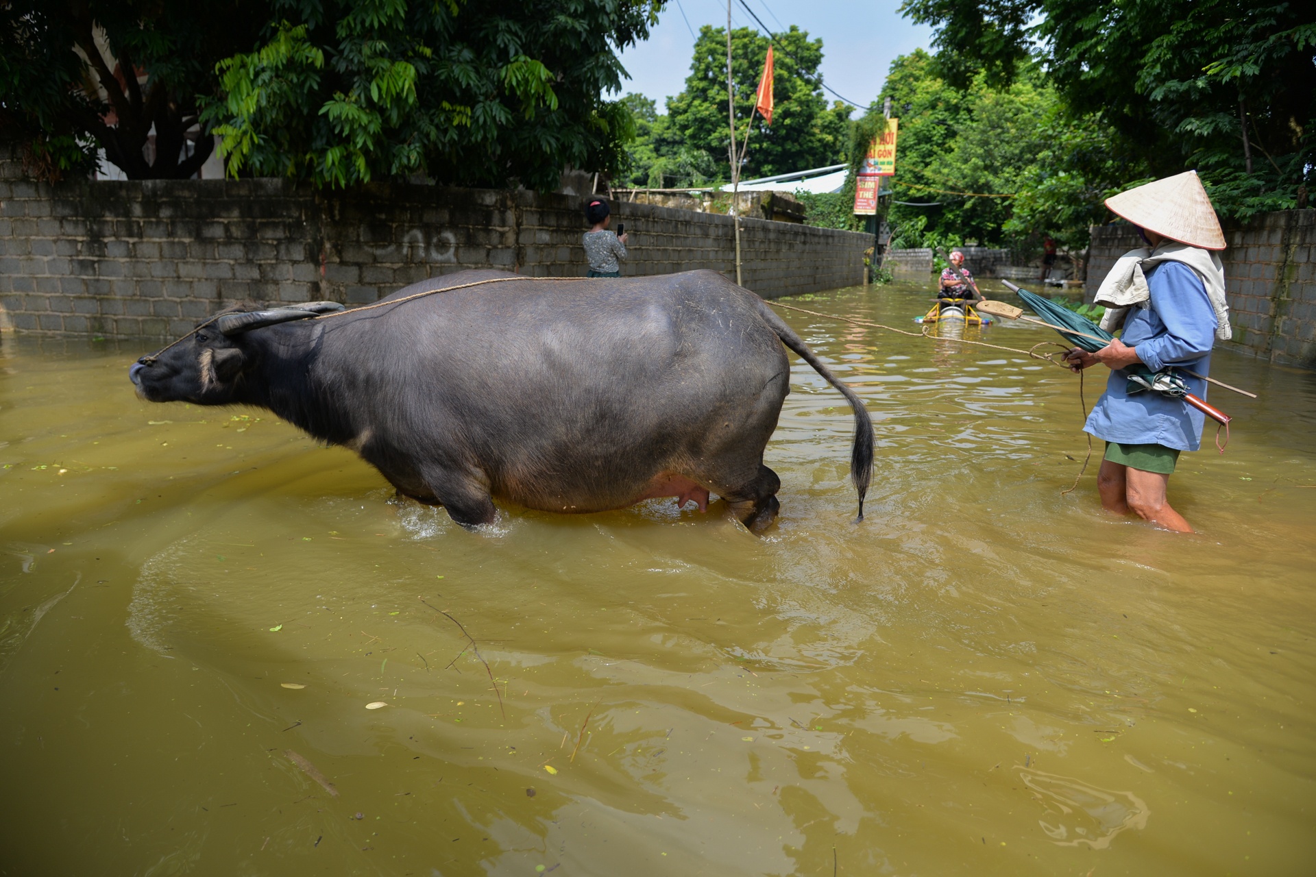 Muon cach ung pho voi ngap lut cua nguoi dan anh 15