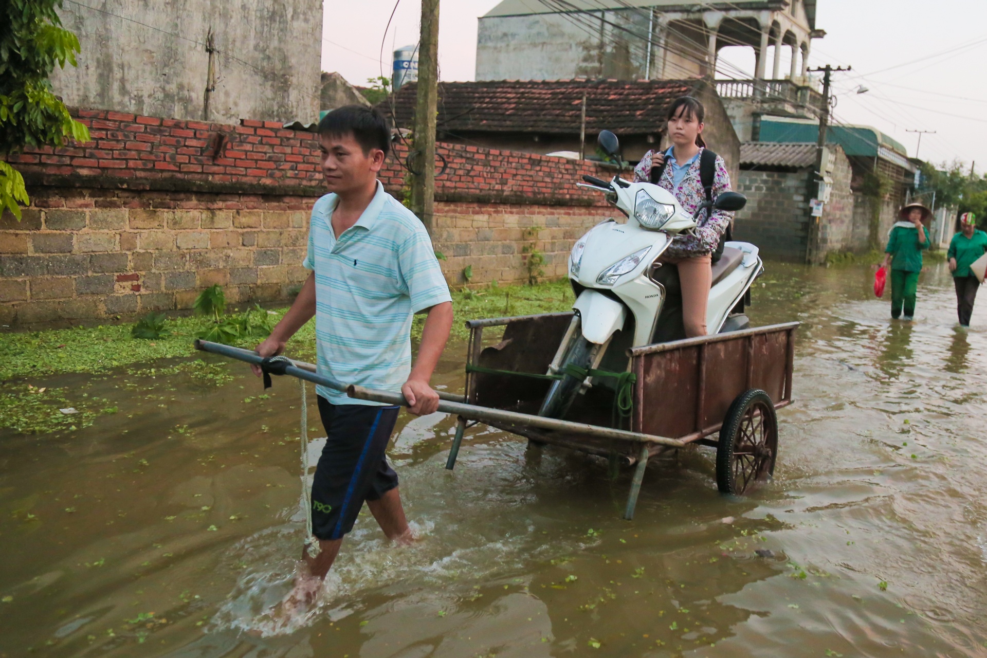 Muon cach ung pho voi ngap lut cua nguoi dan anh 10