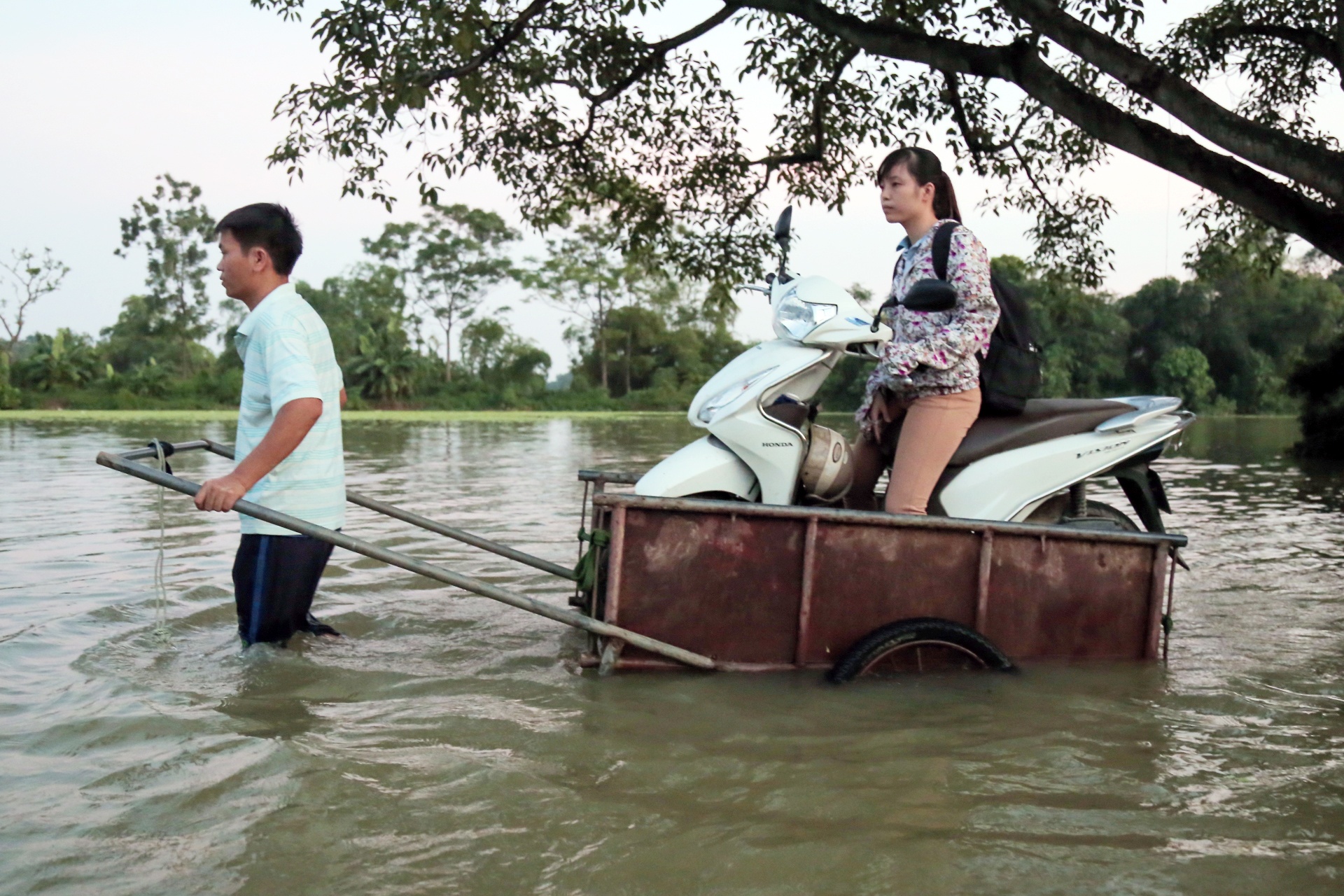 Muon cach ung pho voi ngap lut cua nguoi dan anh 11
