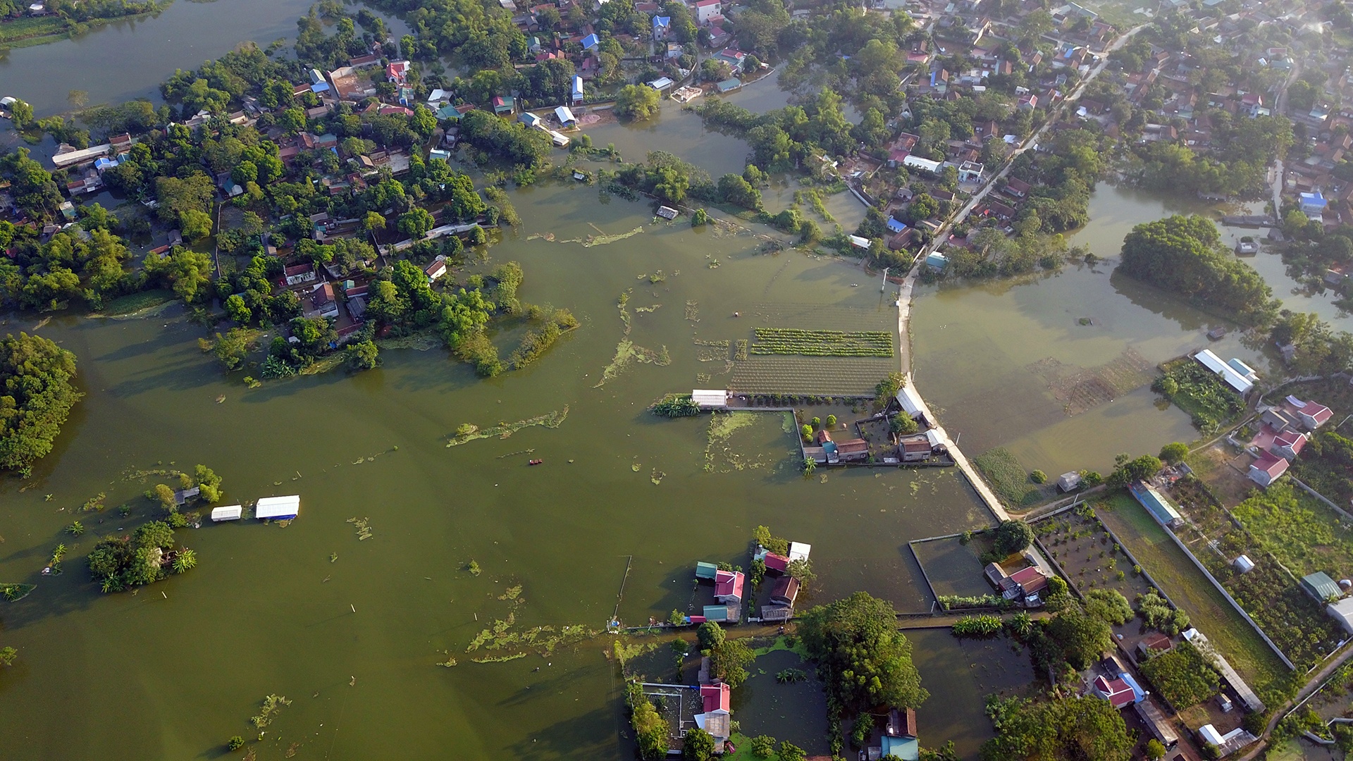 Muon cach ung pho voi ngap lut cua nguoi dan anh 2