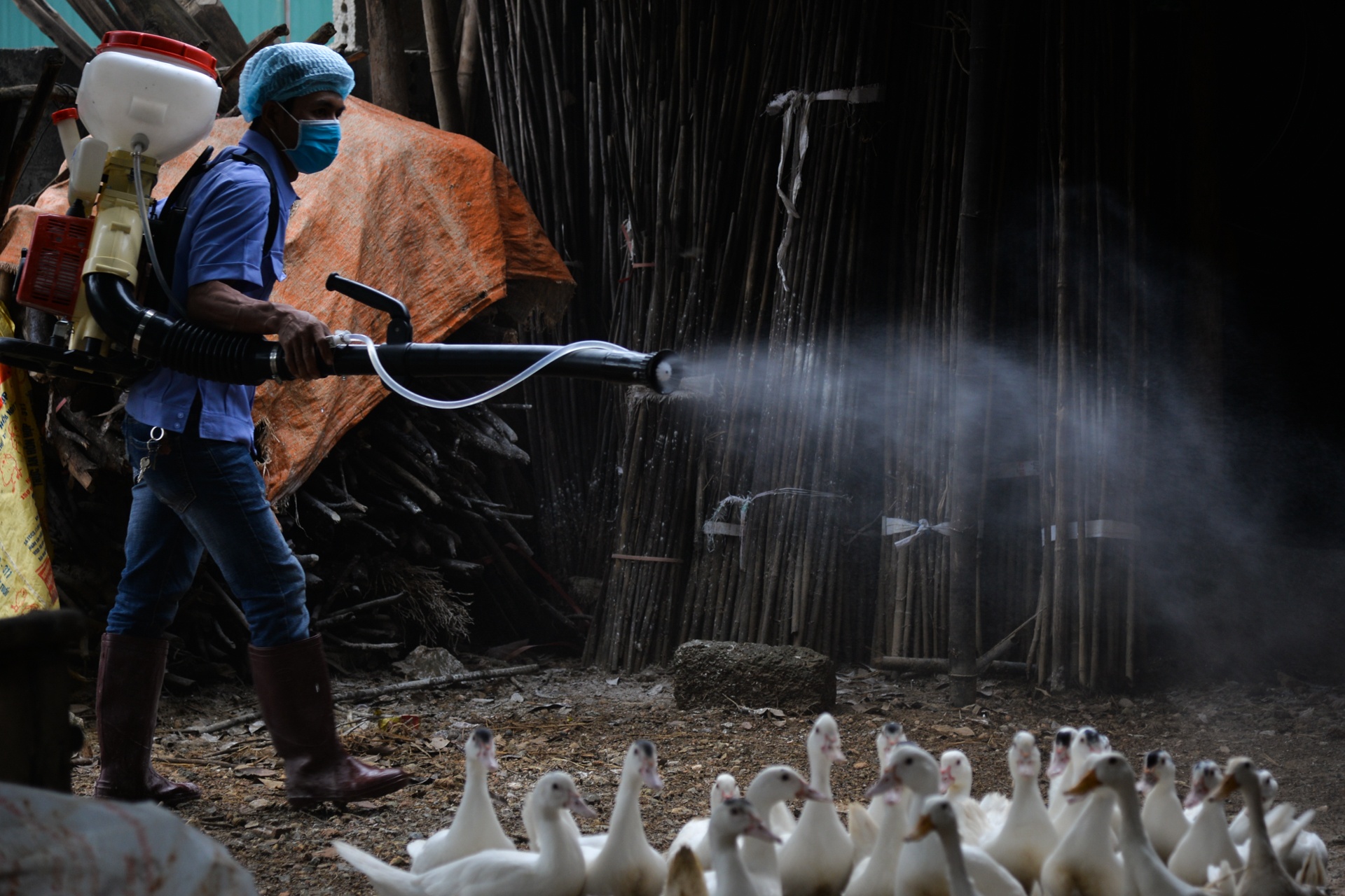 rac voi bot khu trung sau mua lu anh 10