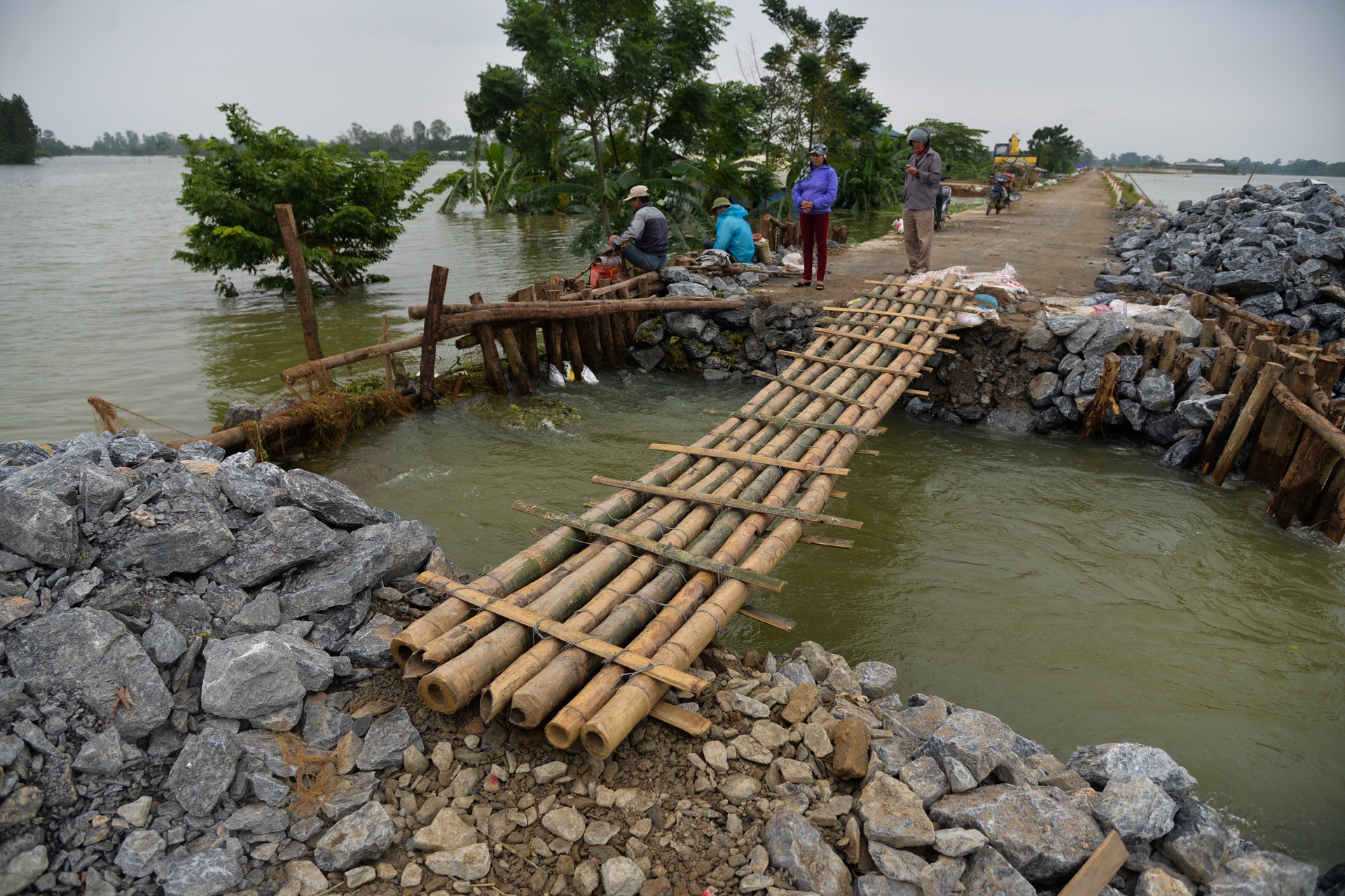 rac voi bot khu trung sau mua lu anh 15