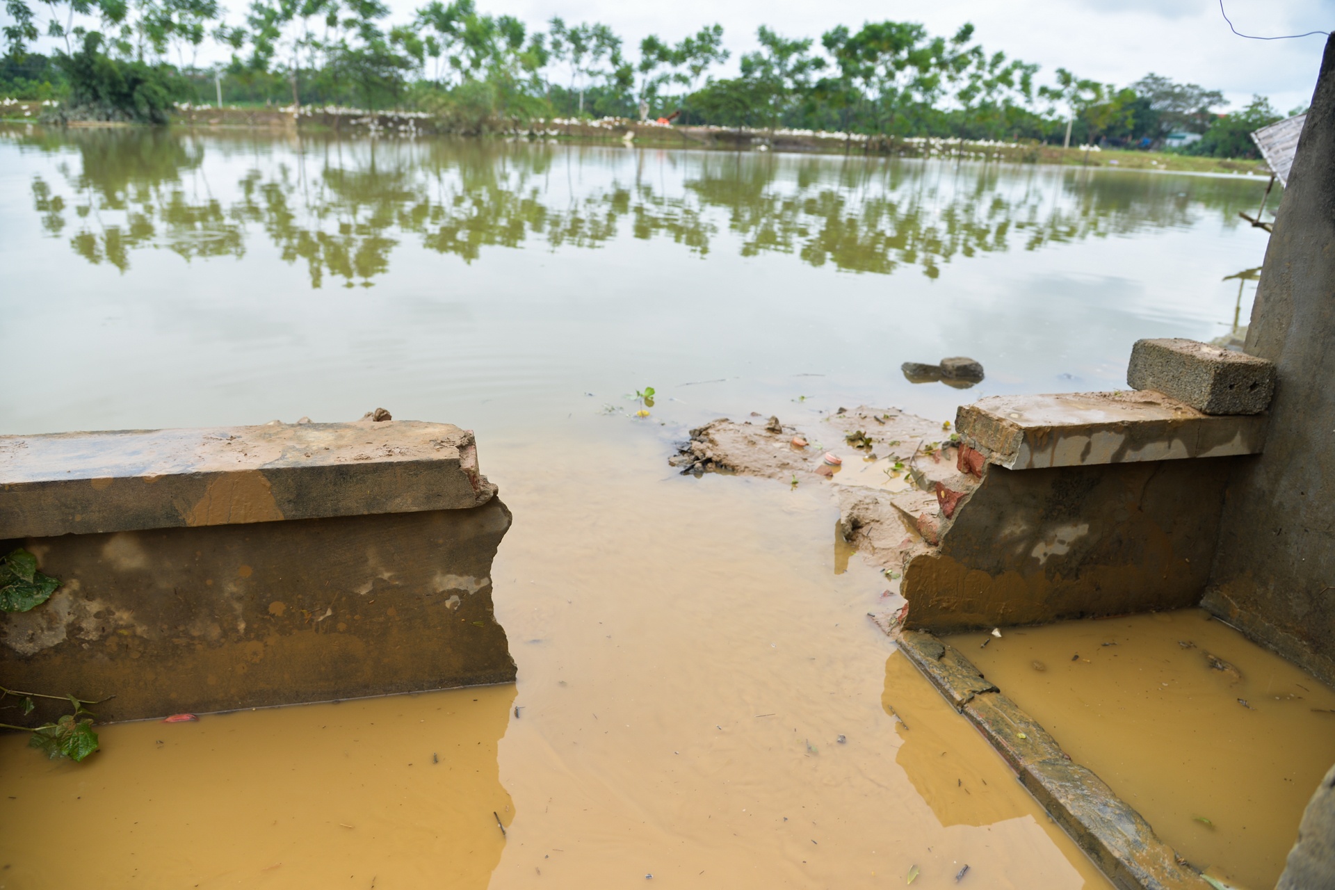 lang oc dao khi nuoc lu len anh 17