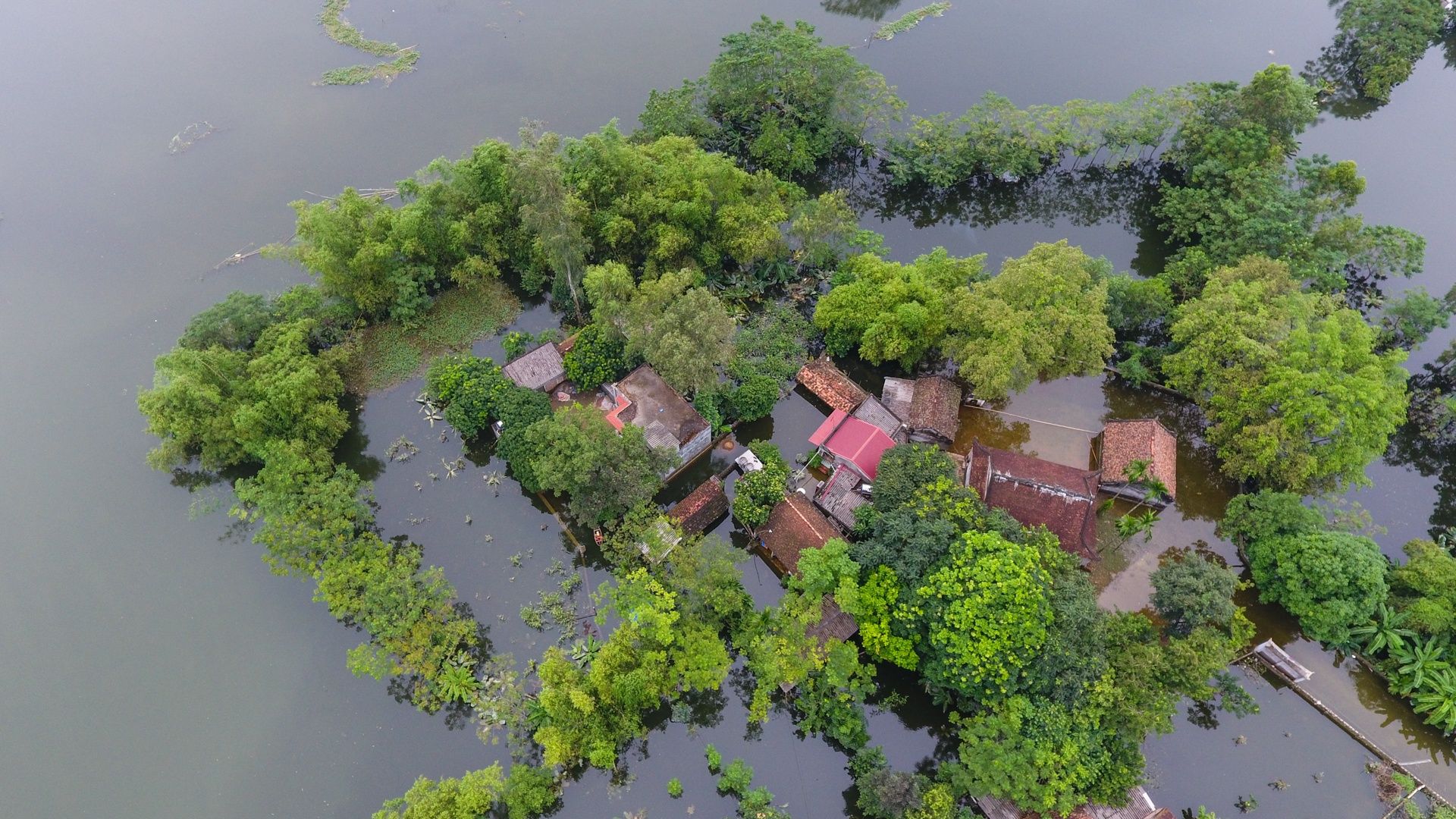lang oc dao khi nuoc lu len anh 2