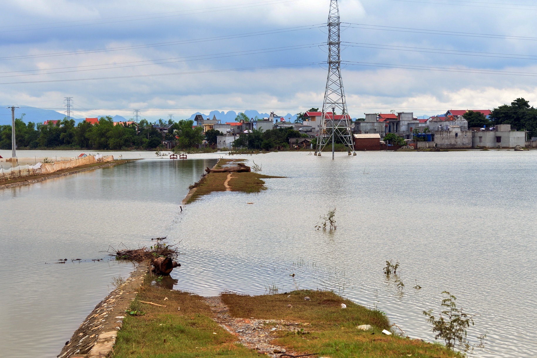 lang oc dao khi nuoc lu len anh 3