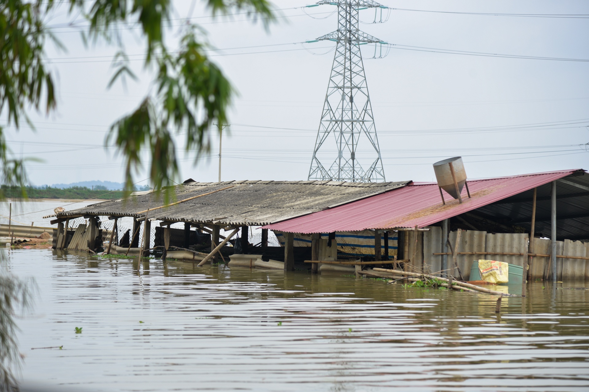 lang oc dao khi nuoc lu len anh 6