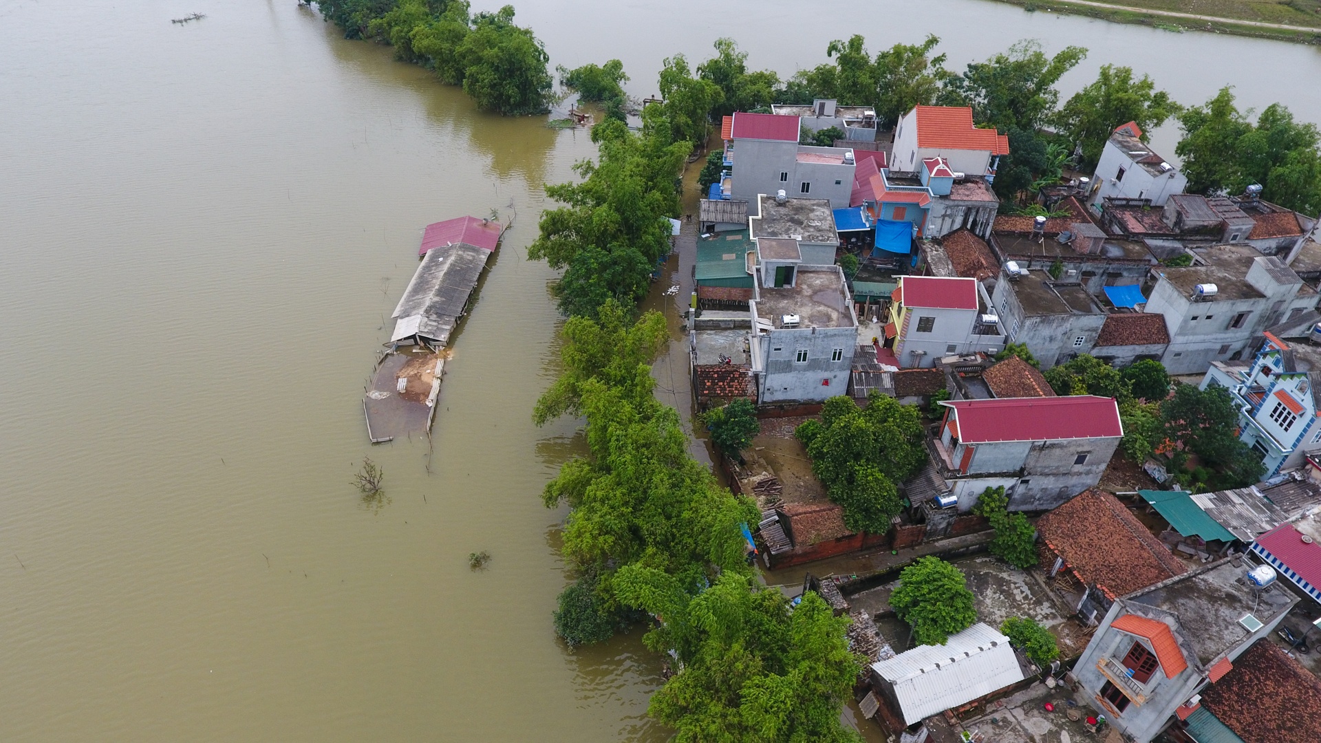 lang oc dao khi nuoc lu len anh 8