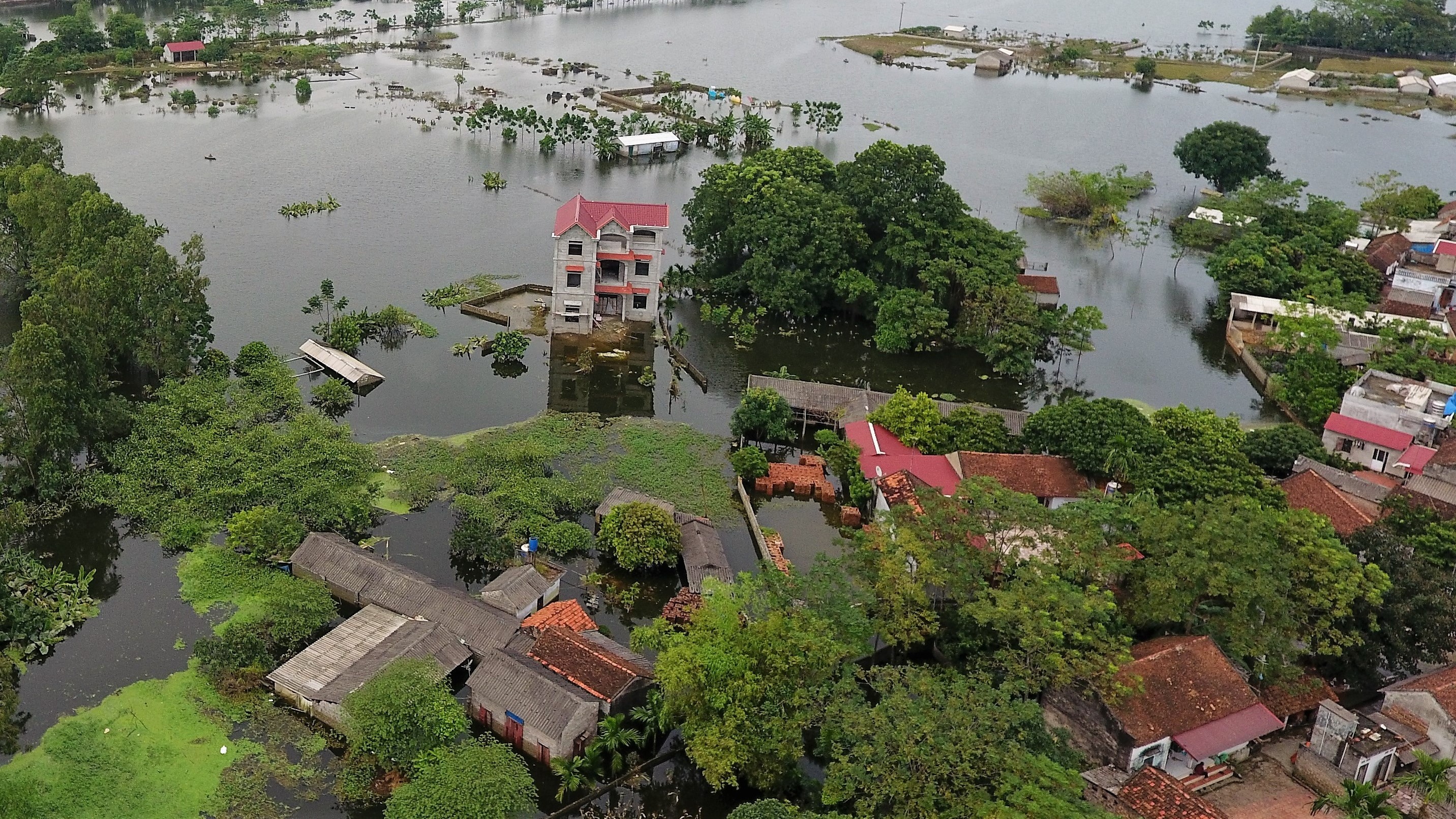Ngoai thanh Ha Noi mot tuan chim trong nuoc lu hinh anh