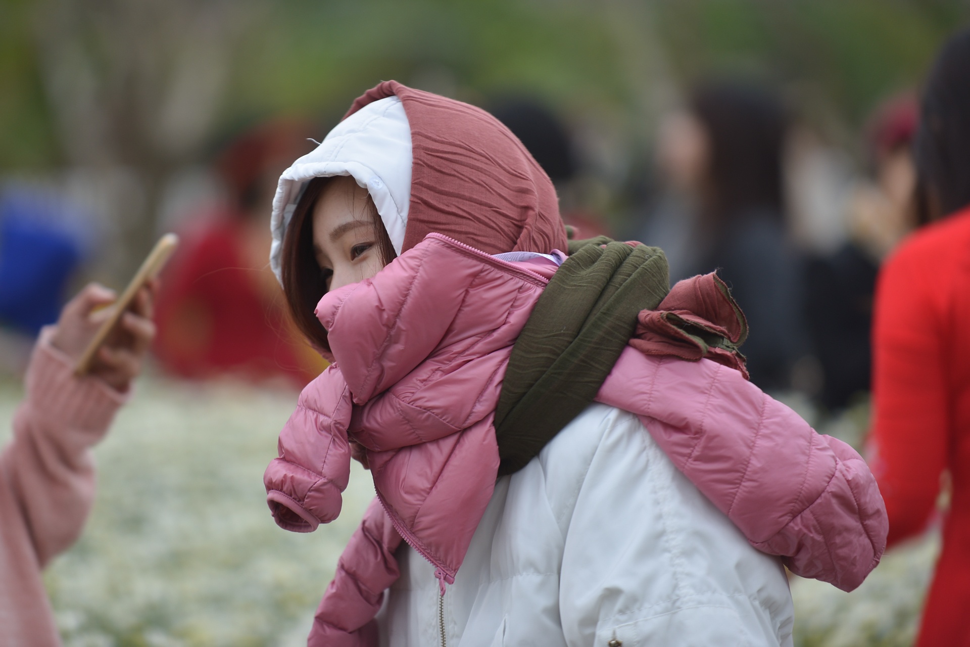 gioi tre Ha Noi chup anh voi cuc hoa mi anh 13