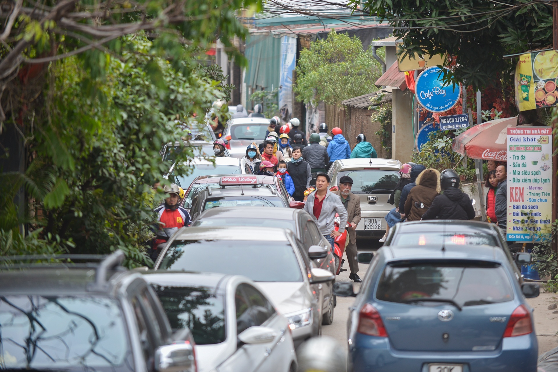 gioi tre Ha Noi chup anh voi cuc hoa mi anh 1
