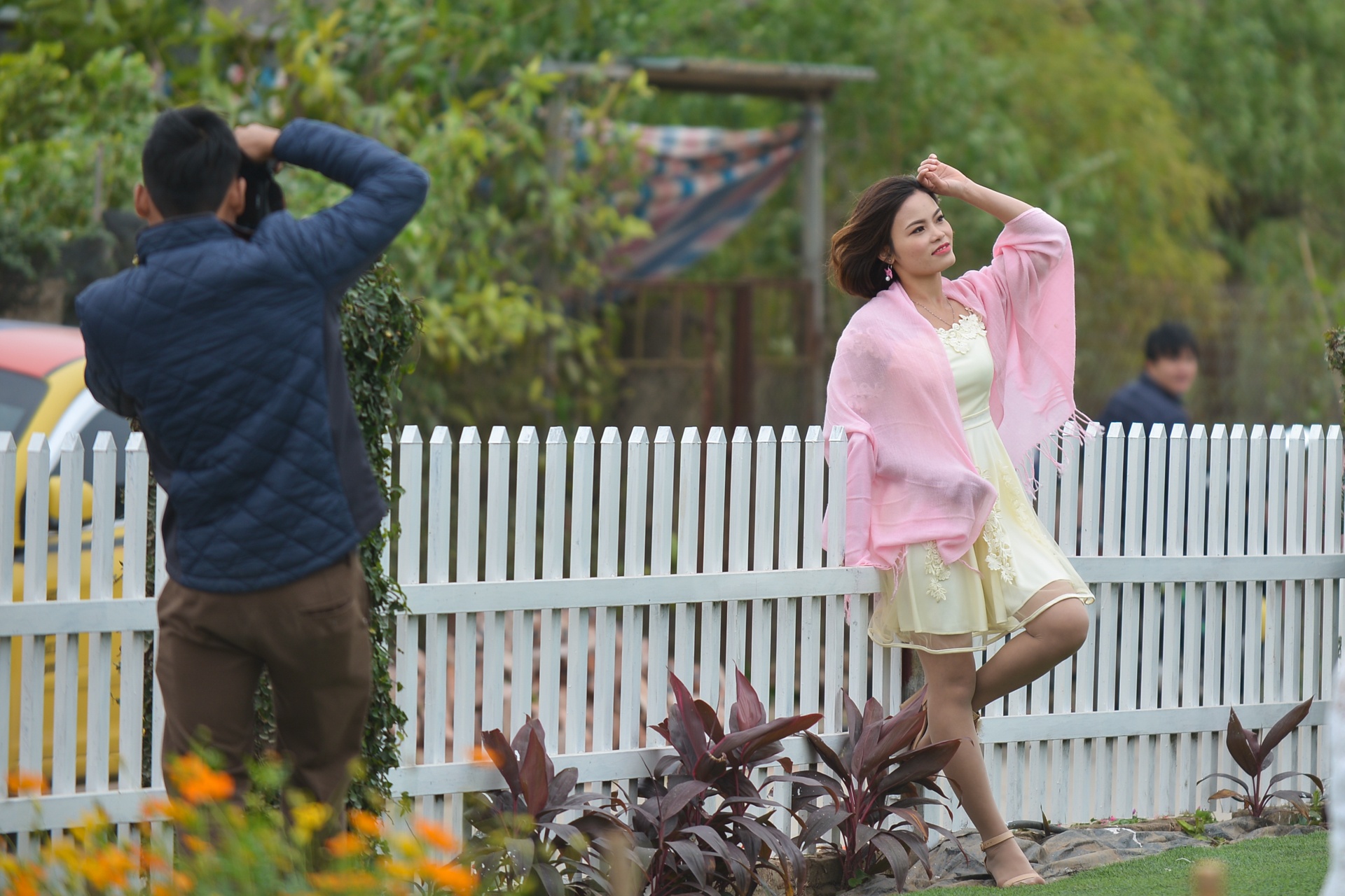 gioi tre Ha Noi chup anh voi cuc hoa mi anh 2