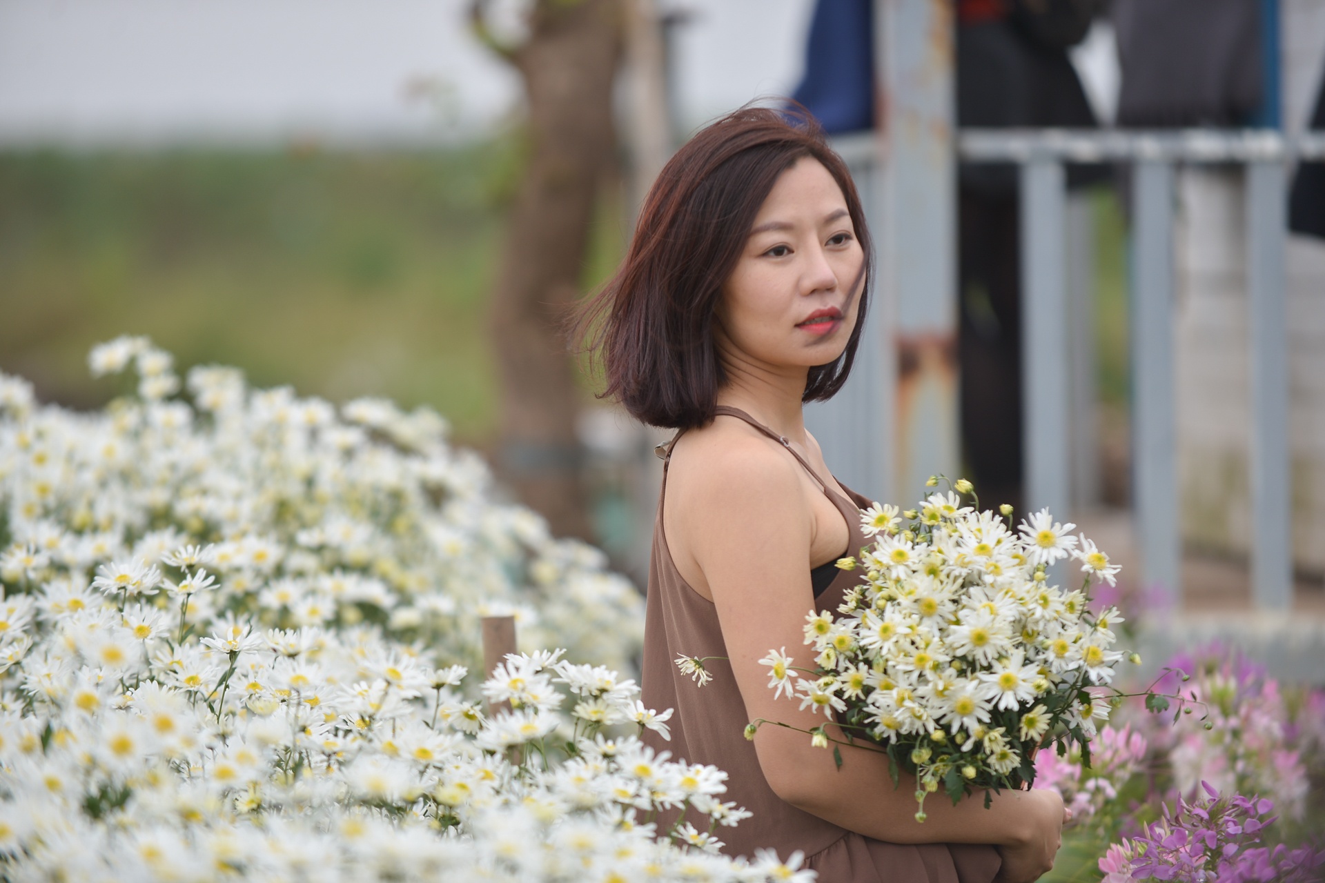 gioi tre Ha Noi chup anh voi cuc hoa mi anh 3