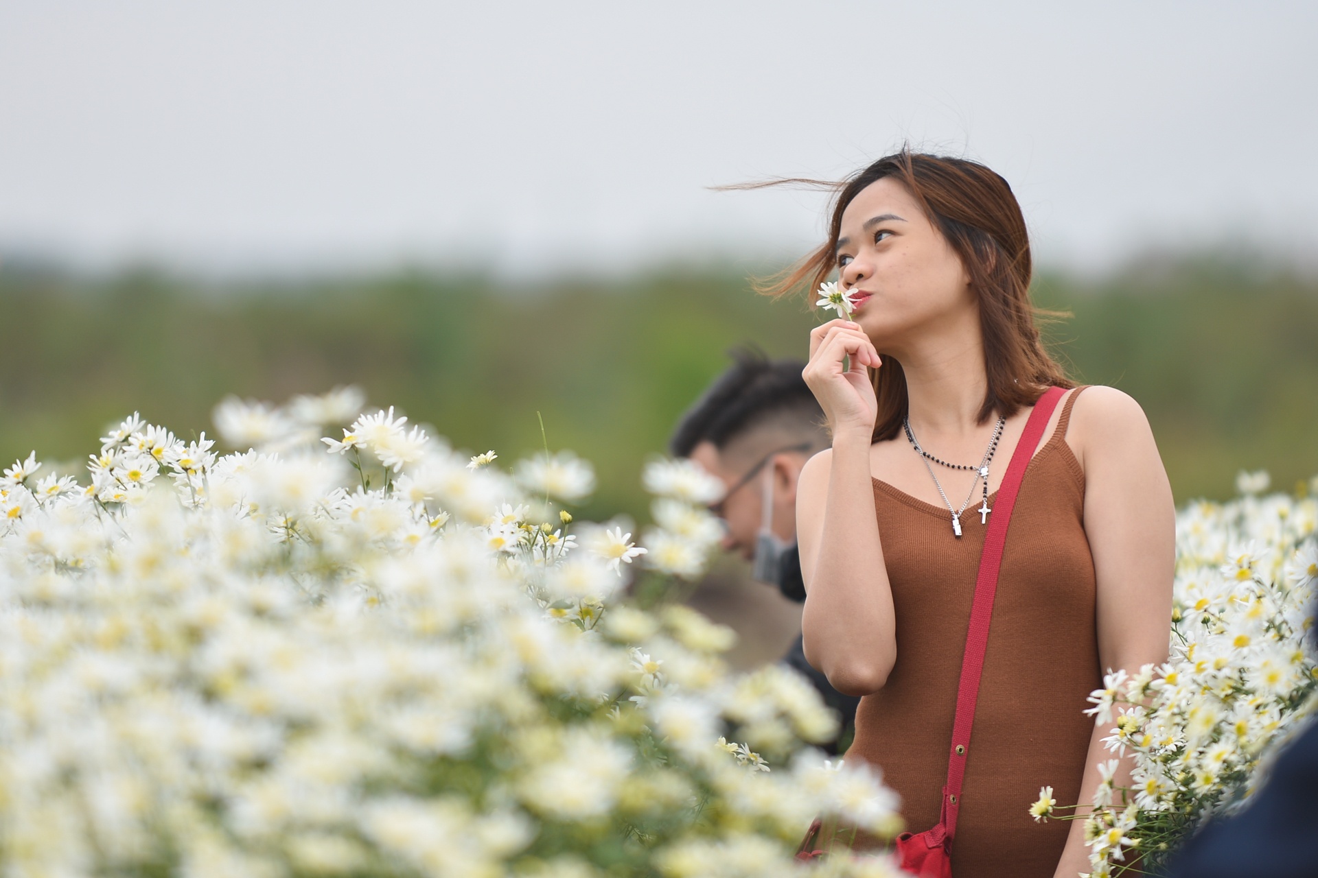 gioi tre Ha Noi chup anh voi cuc hoa mi anh 4