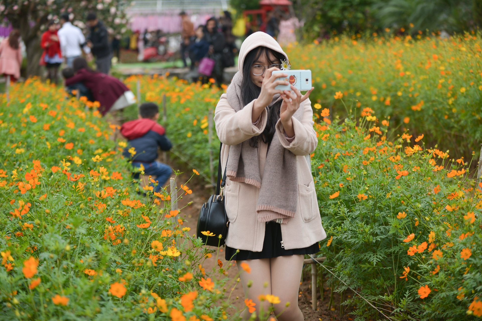 gioi tre Ha Noi chup anh voi cuc hoa mi anh 5