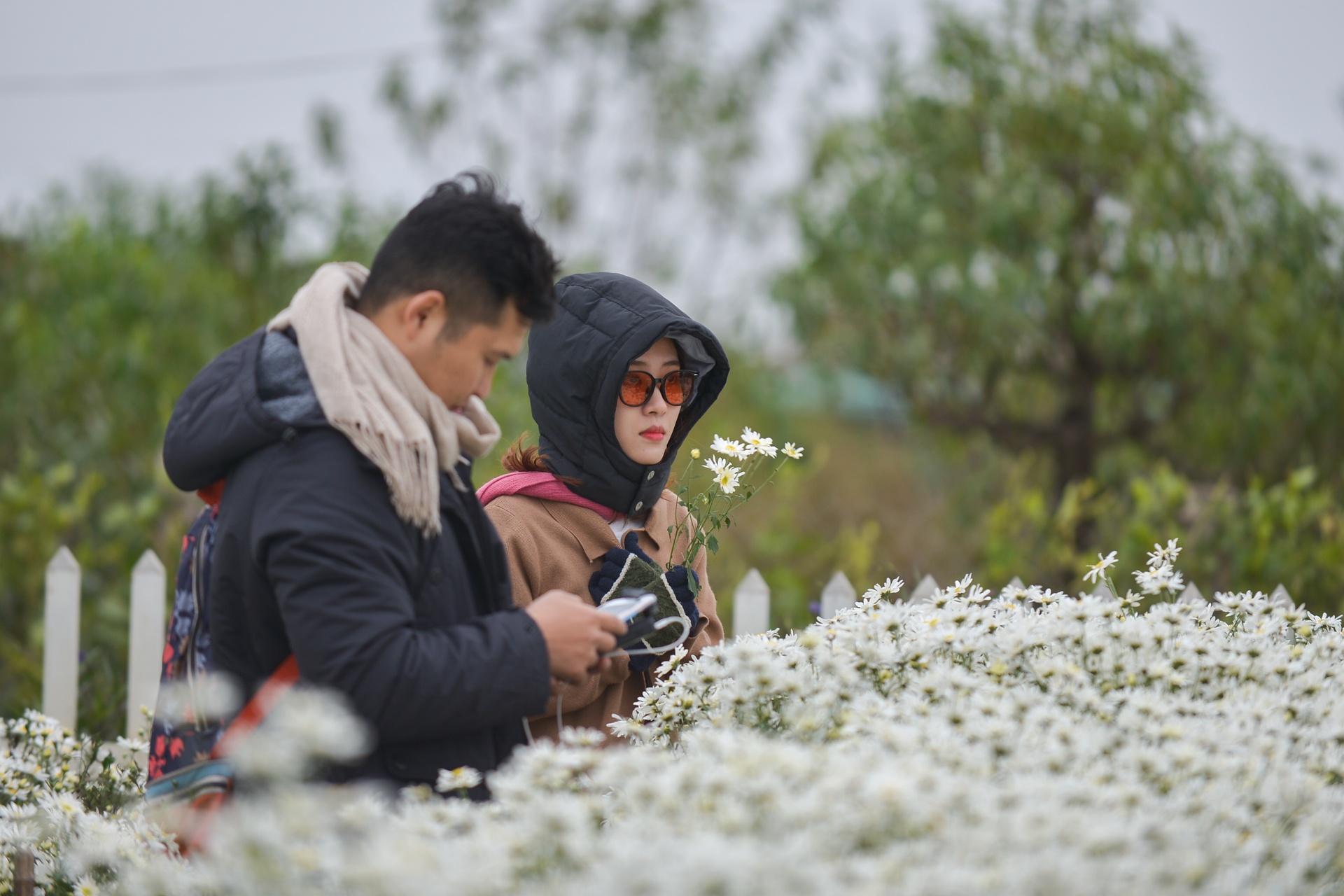 gioi tre Ha Noi chup anh voi cuc hoa mi anh 6