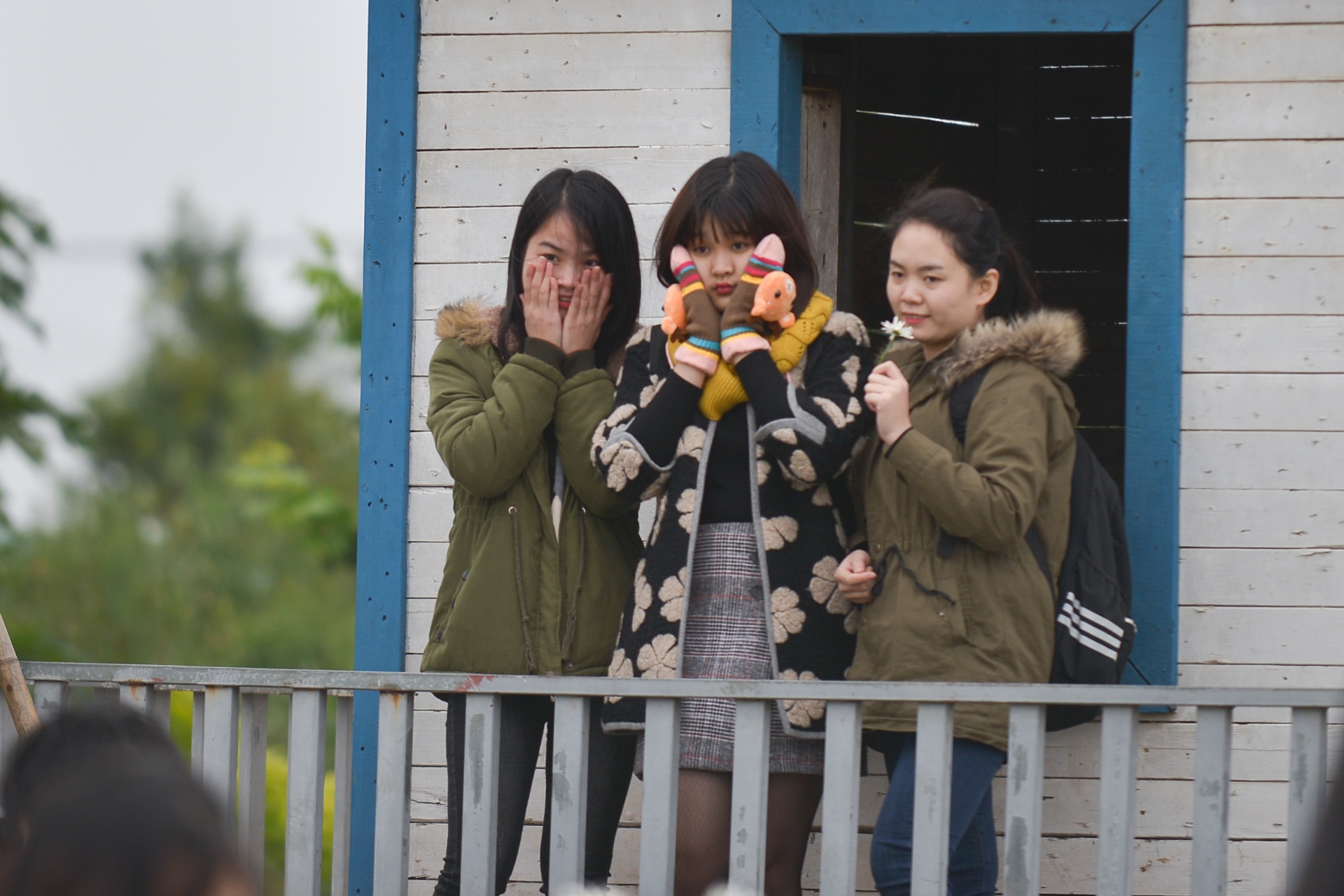 gioi tre Ha Noi chup anh voi cuc hoa mi anh 7