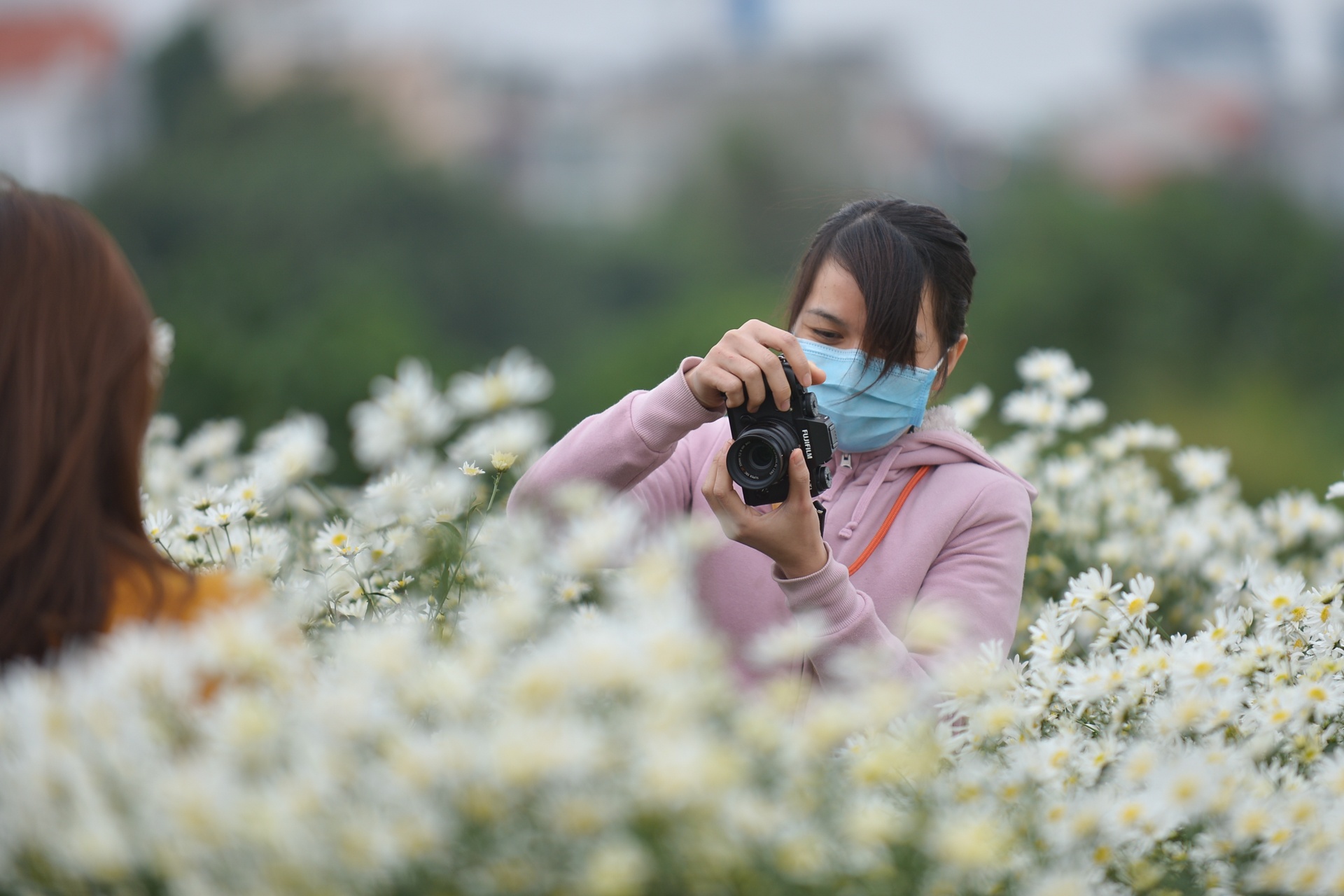 gioi tre Ha Noi chup anh voi cuc hoa mi anh 8