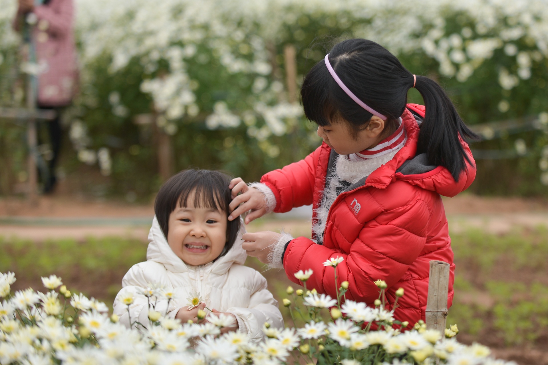 gioi tre Ha Noi chup anh voi cuc hoa mi anh 9