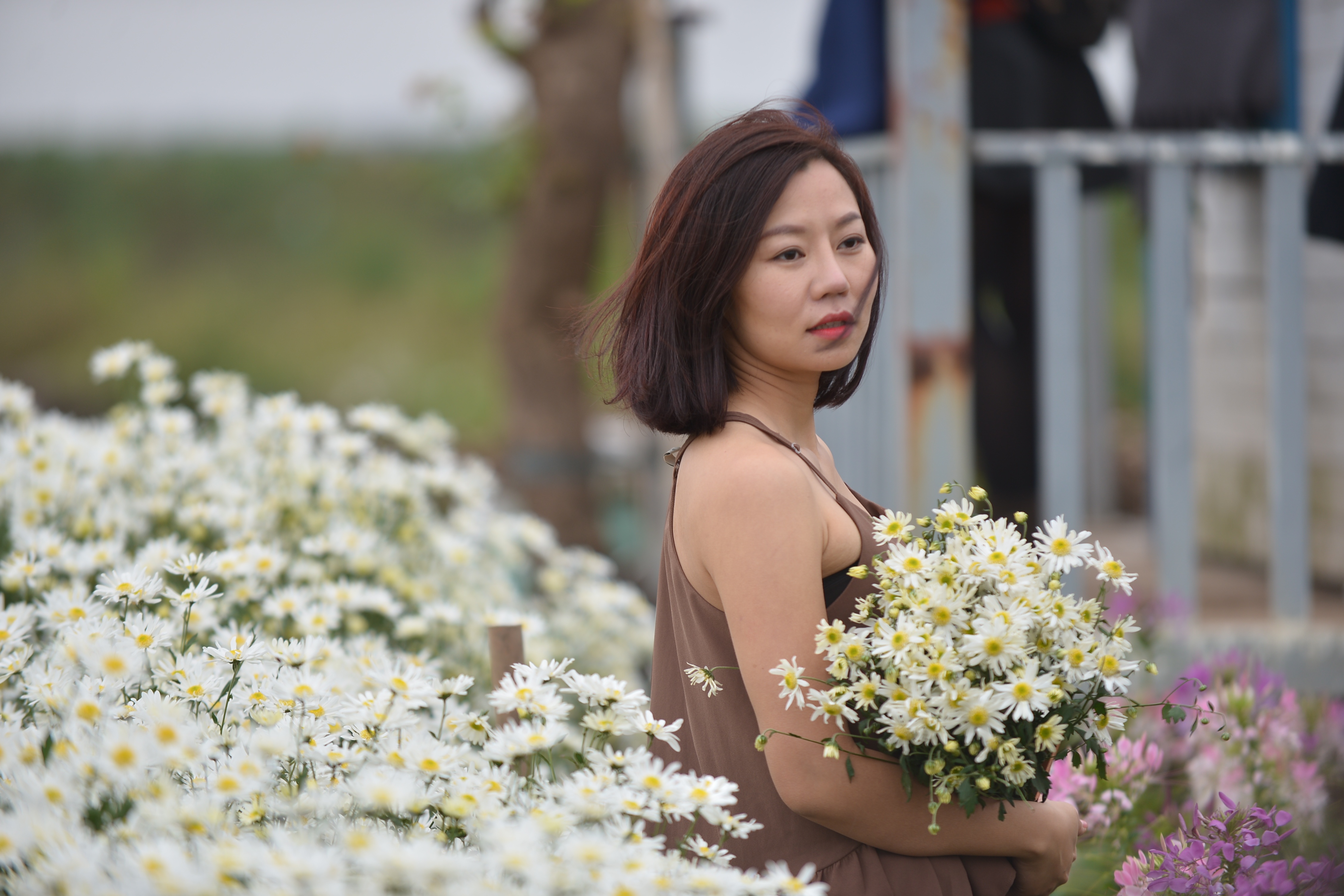 Gioi tre Ha Noi chup anh voi cuc hoa mi hinh anh