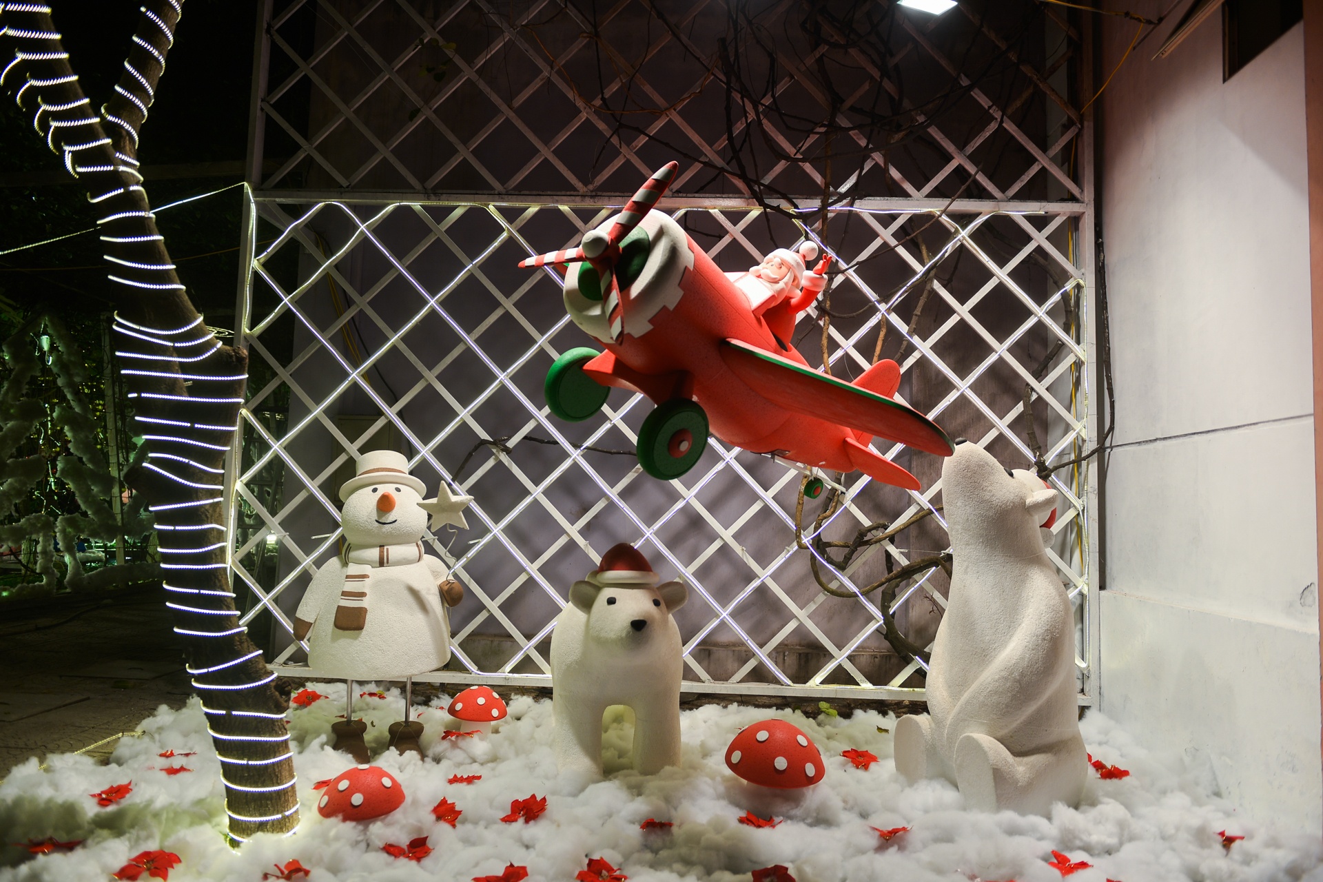 tuyet roi o Ha Noi anh 14