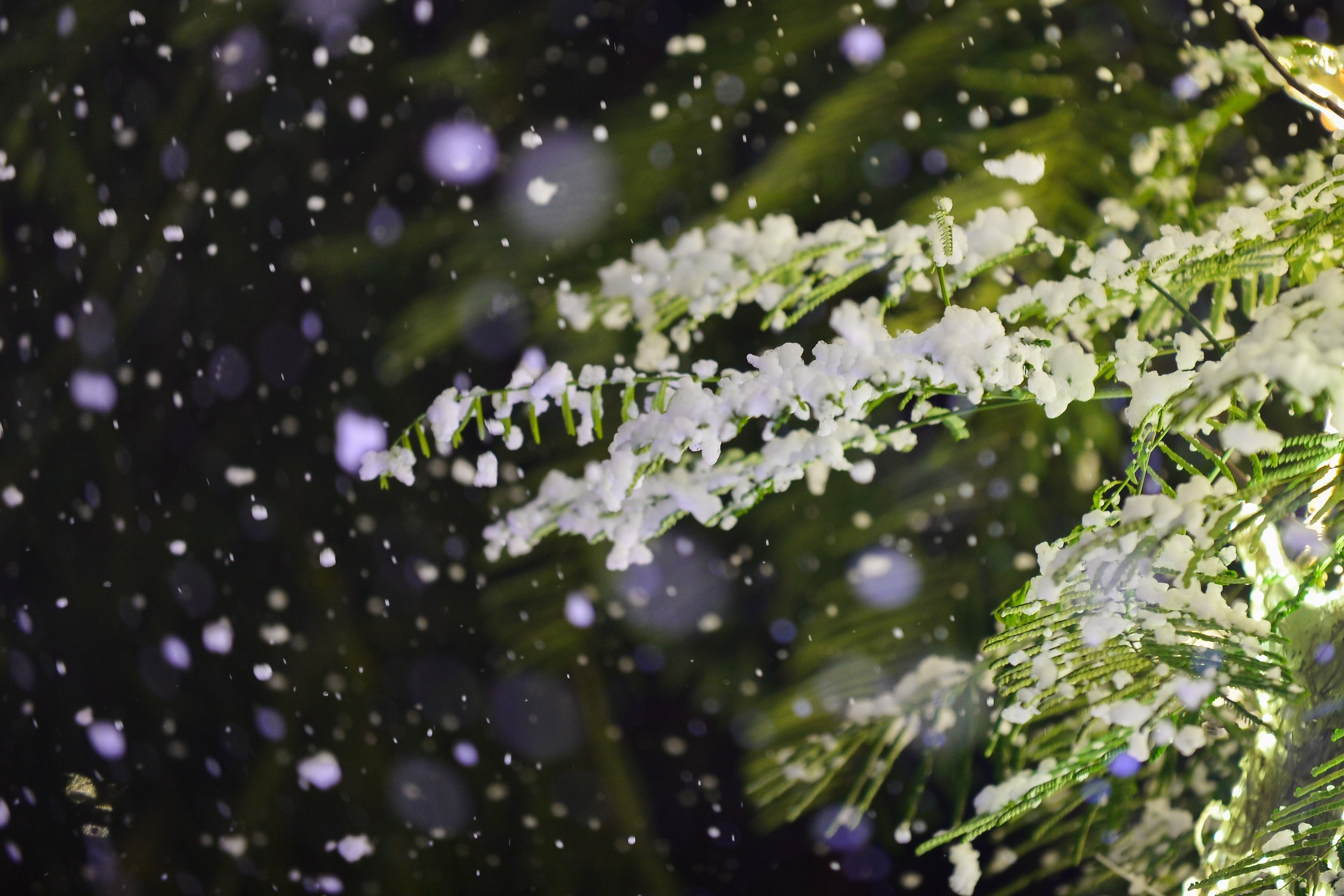 tuyet roi o Ha Noi anh 3