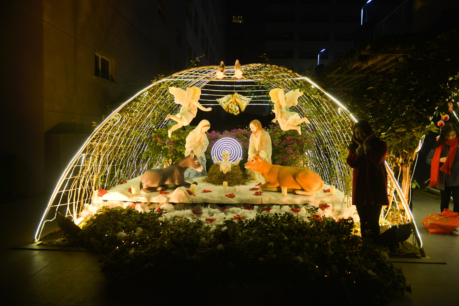 tuyet roi o Ha Noi anh 15