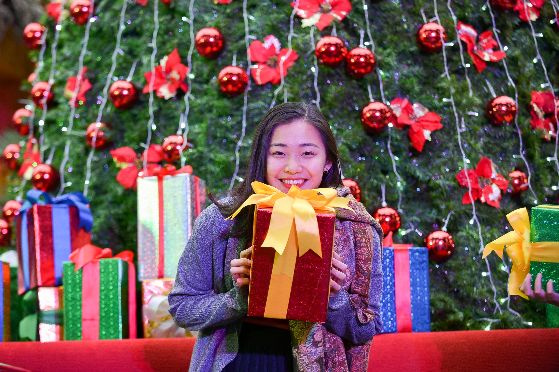 Hoi cho Giang sinh phong cach Duc o nha tho Cua Bac hinh anh