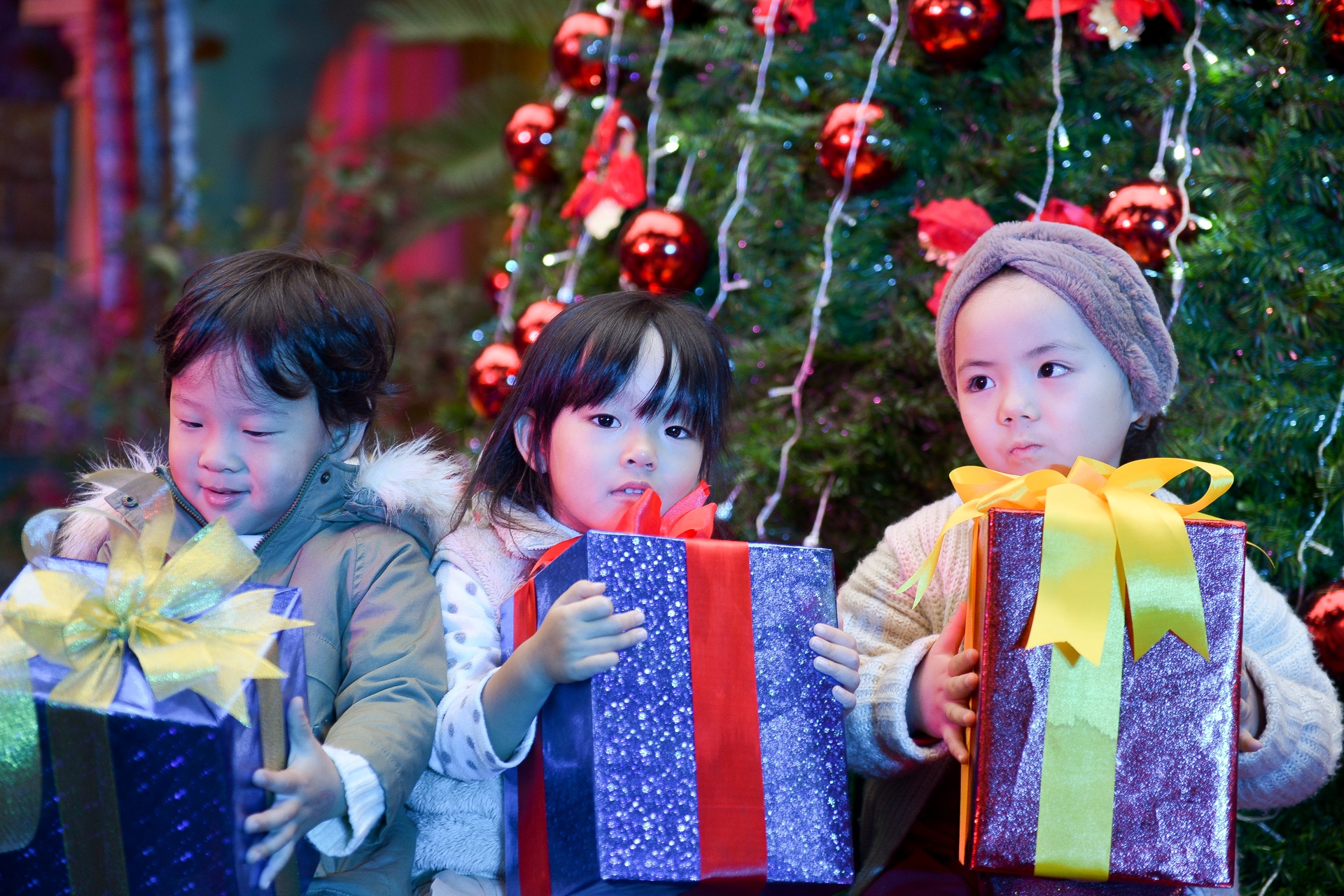 Hoi cho giang sinh Duc o Ha Noi hinh anh