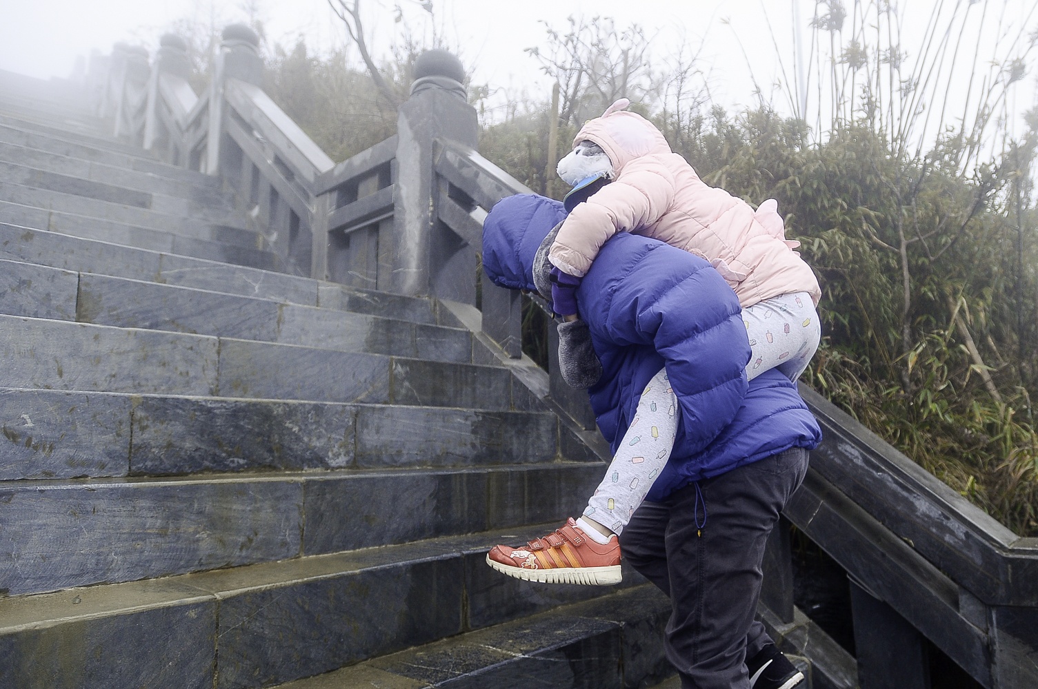 nhiet do fansipan duoi 0 do anh 6