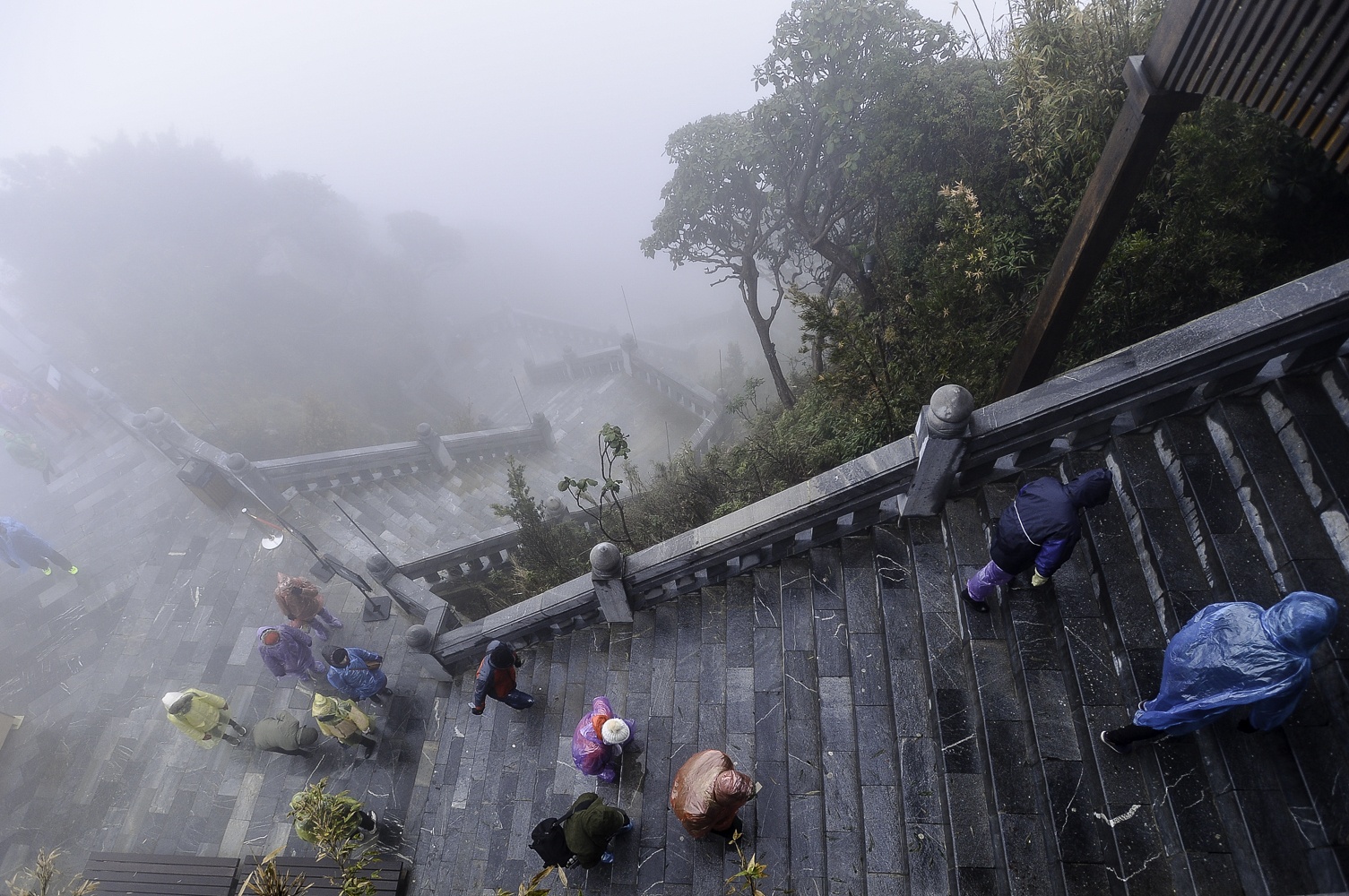 nhiet do fansipan duoi 0 do anh 8