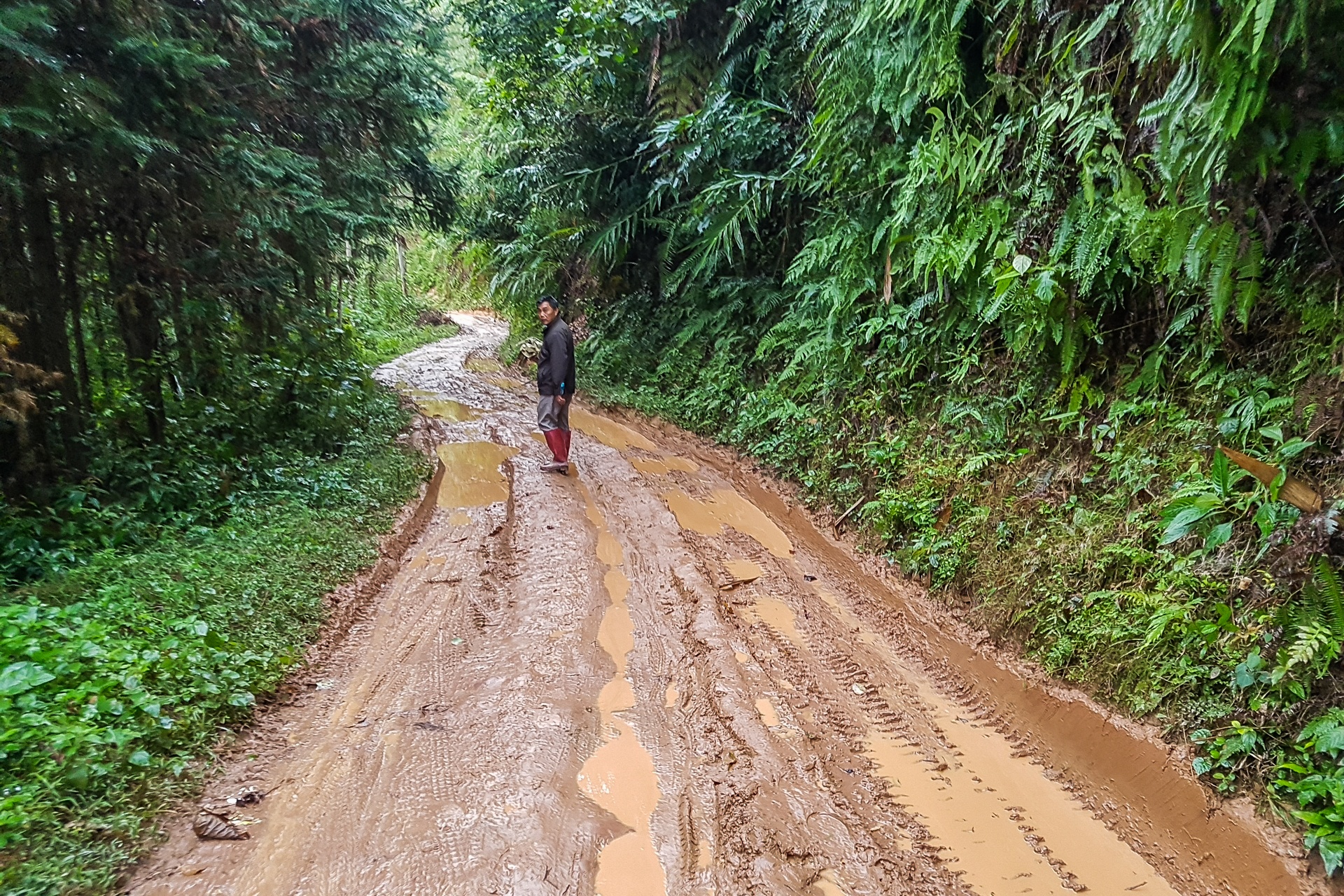hanh tinh sua nhip trai tim anh 5