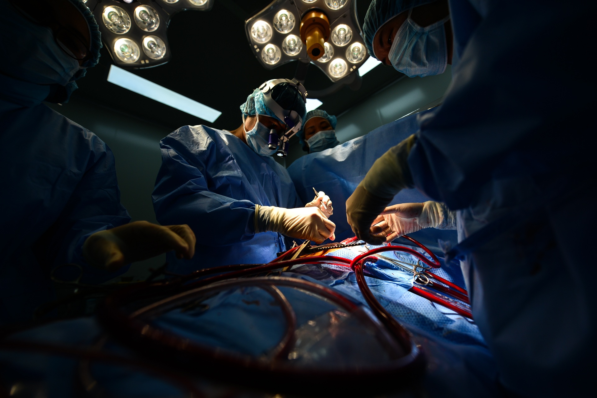 hanh tinh sua nhip trai tim anh 34