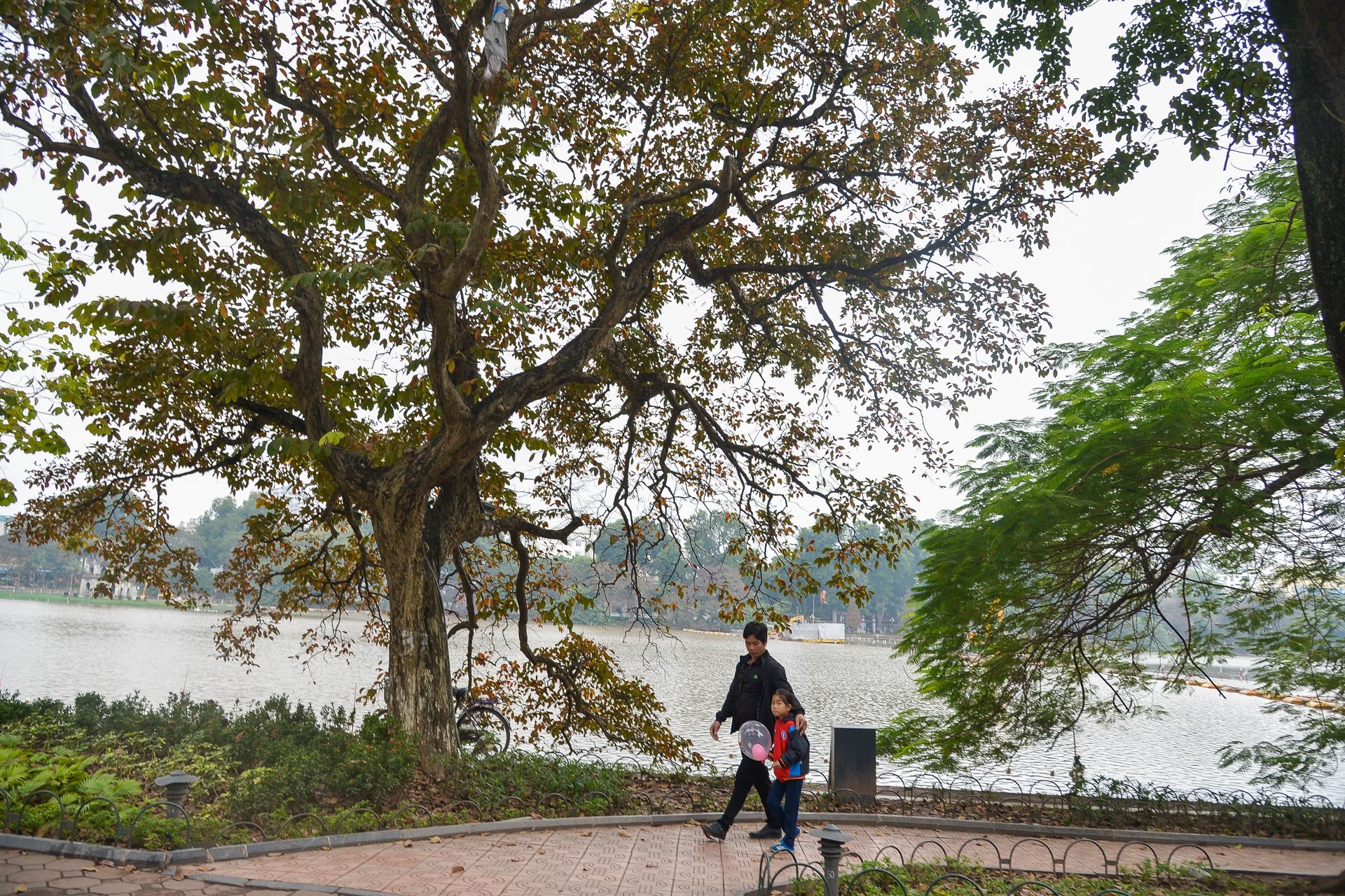 hanh tinh sua nhip trai tim anh 47