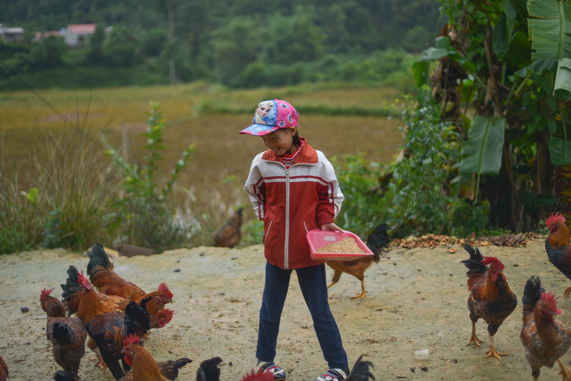 hanh tinh sua nhip trai tim anh 3